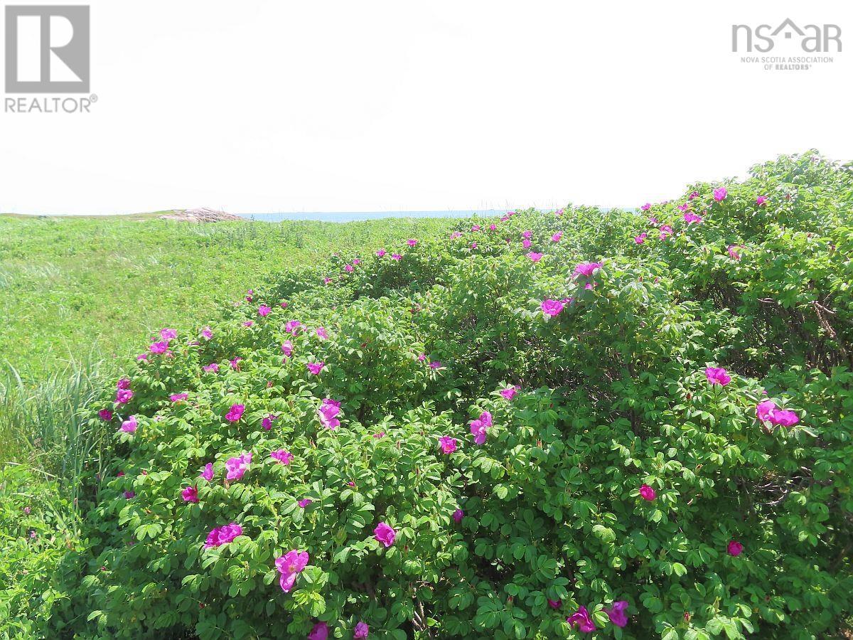 Lot 31 Belfry Lake Road Property Photo 32