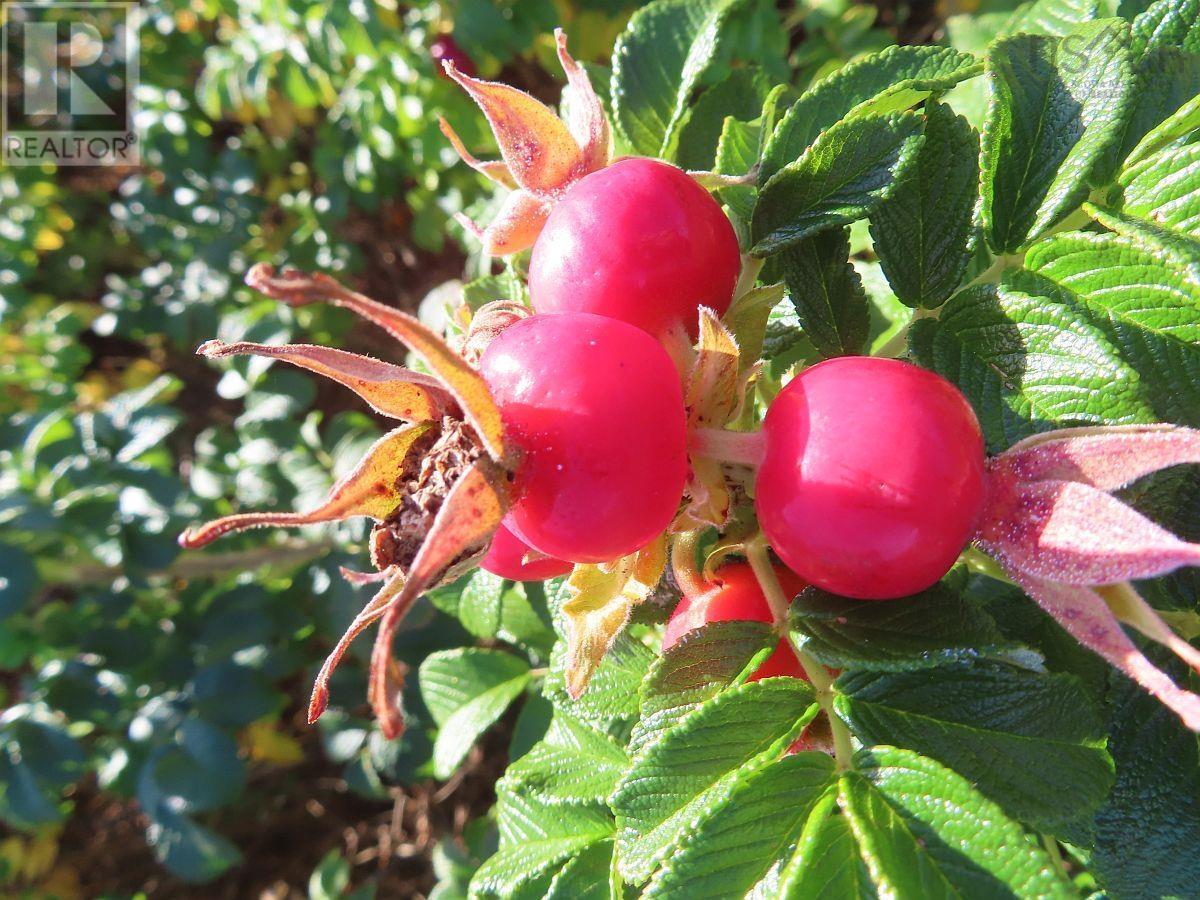 Lot 31 Belfry Lake Road Property Photo 34