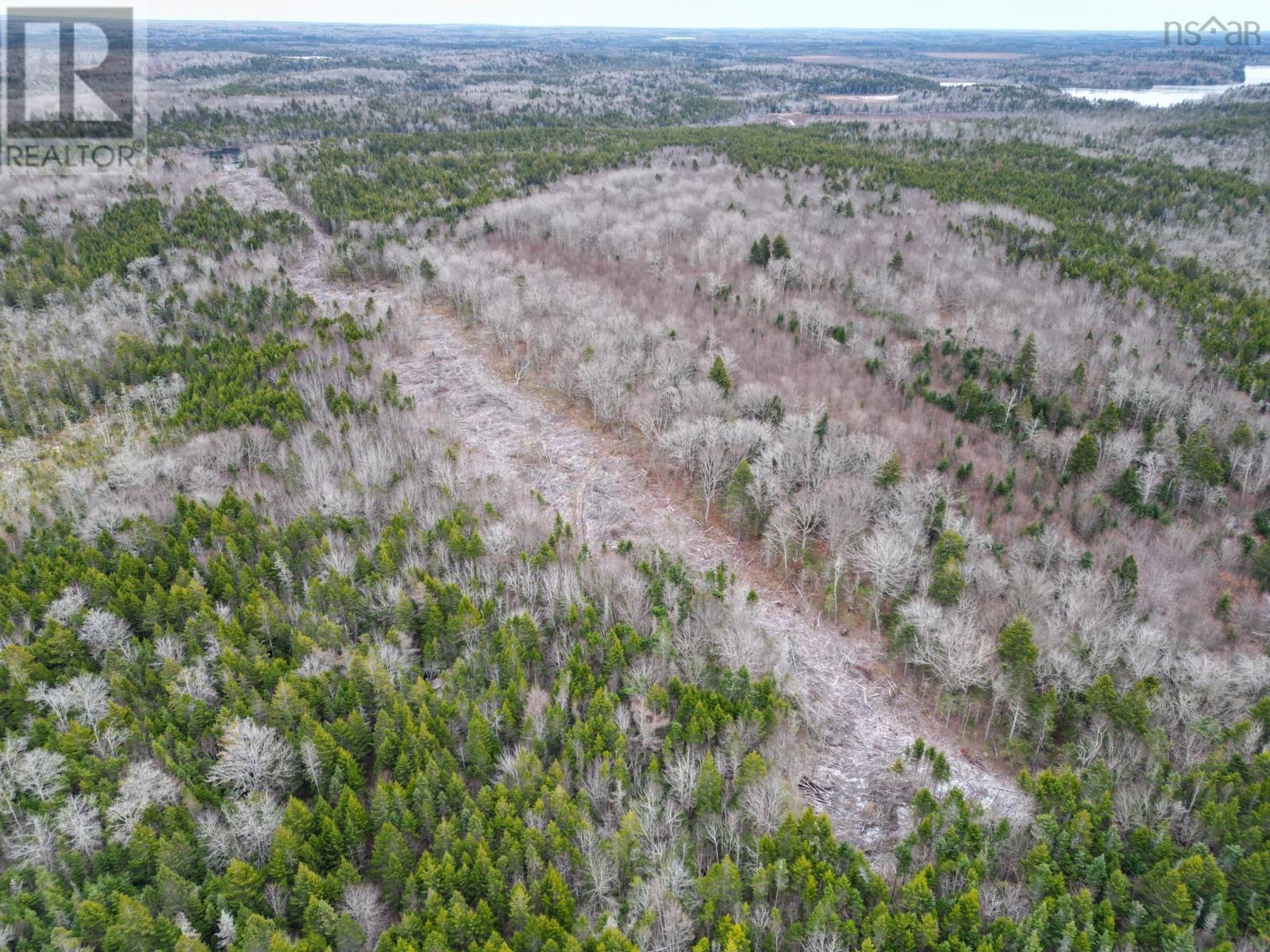 Lot Peter Leblanc Road Property Photo 8