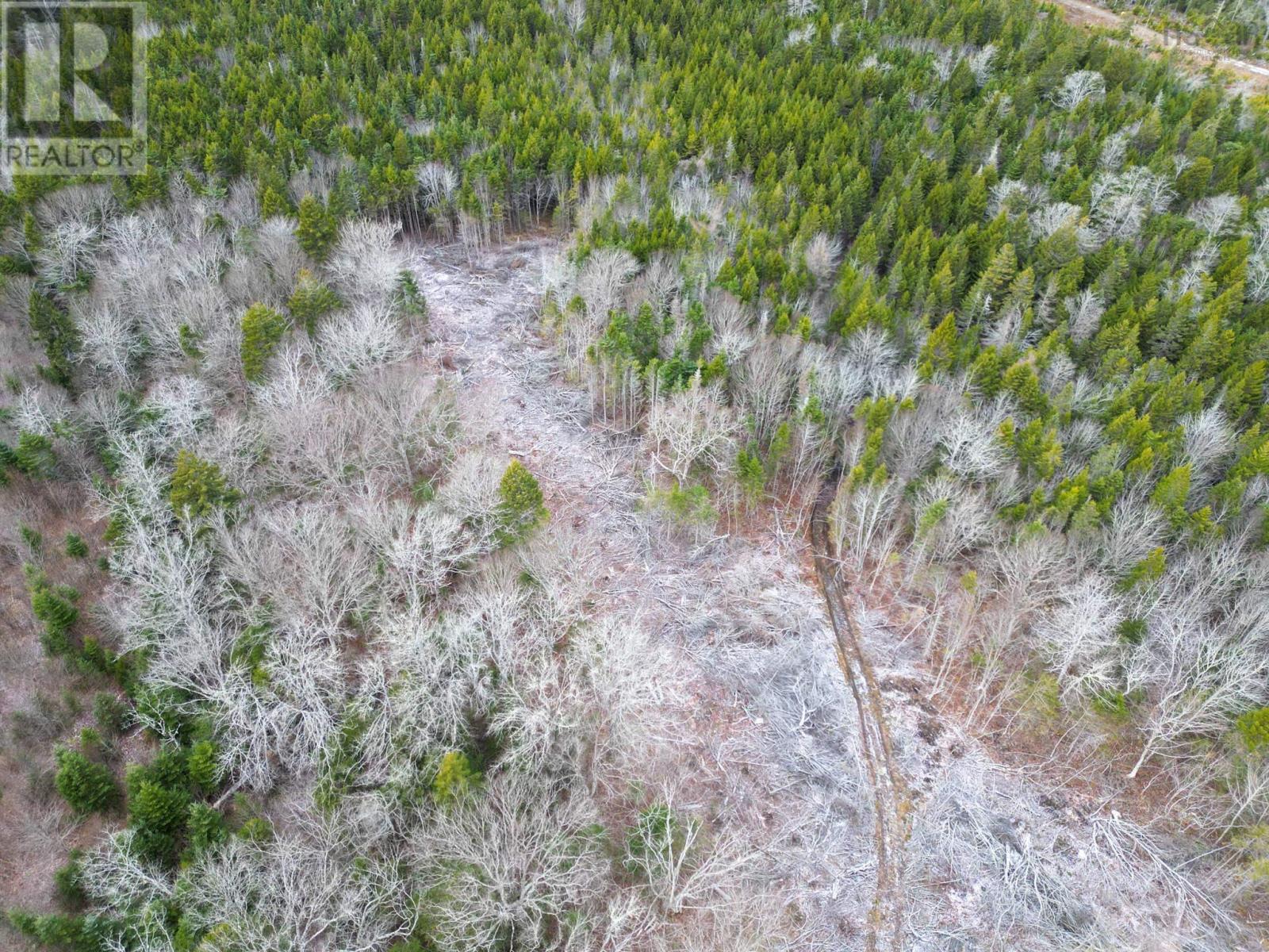 Lot Peter Leblanc Road Property Photo 11