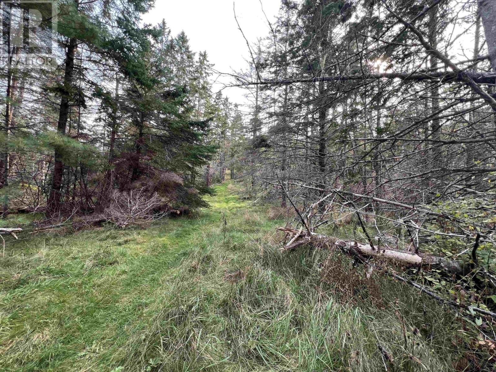 390 Conrads Road Property Photo 8