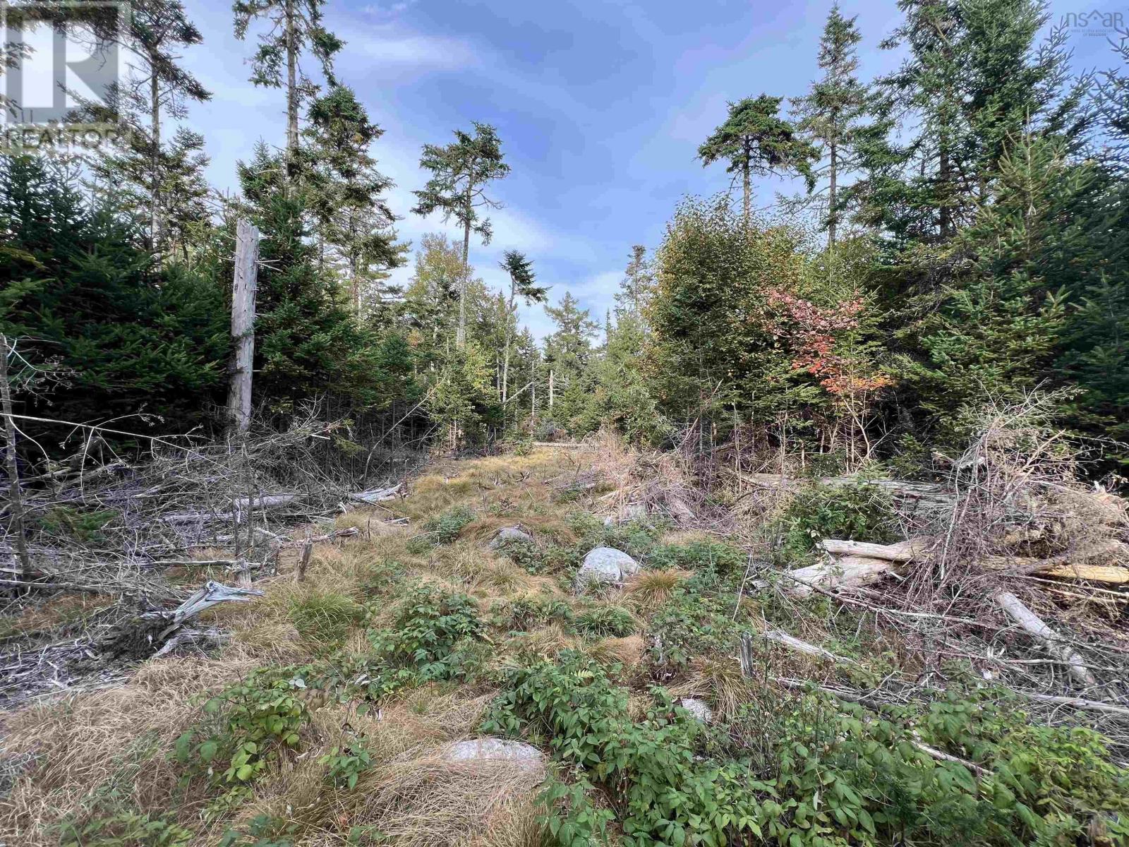 390 Conrads Road Property Photo 11