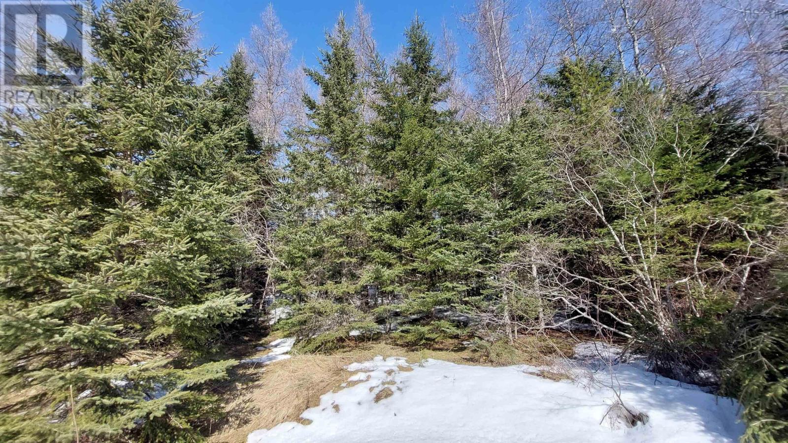 Lot 4 Beaver Ln. Property Photo 11