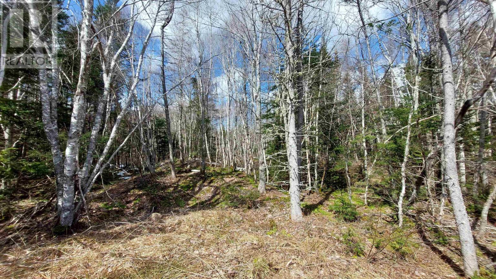 Lot 4 Beaver Ln. Property Photo 14