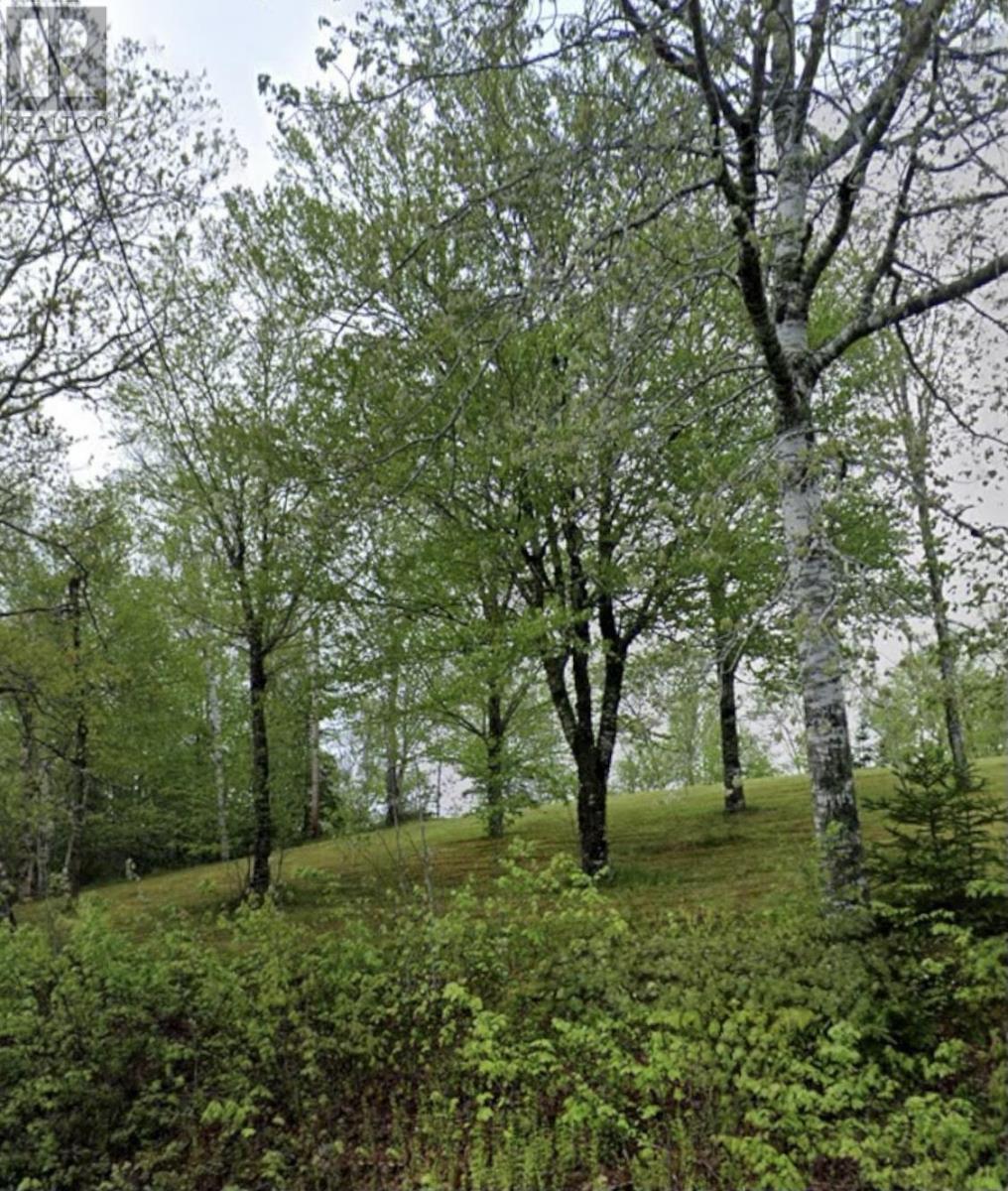 51 Lead Mine Road Property Photo 1