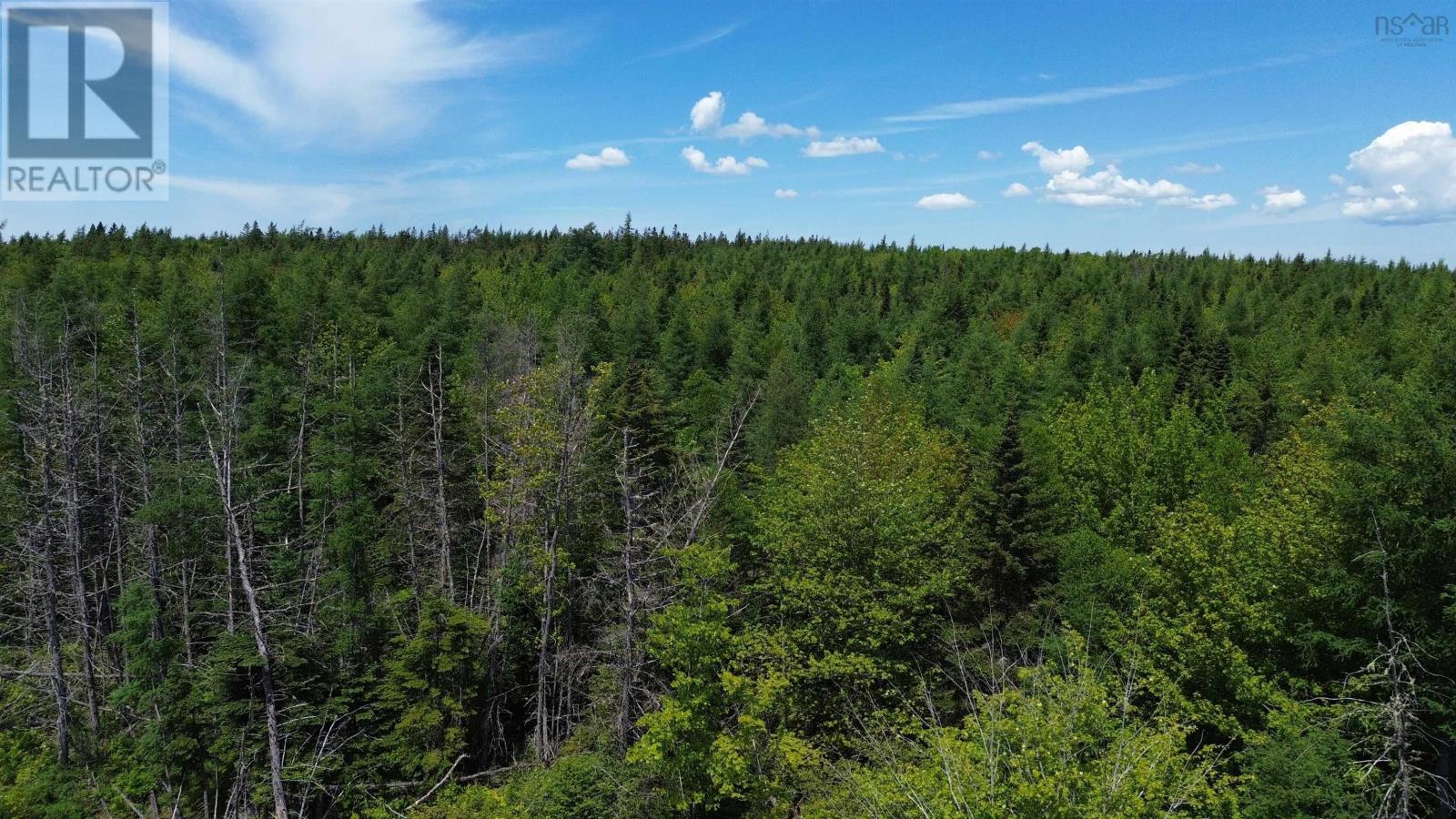 Lot 11 Lower River Road Property Photo 1