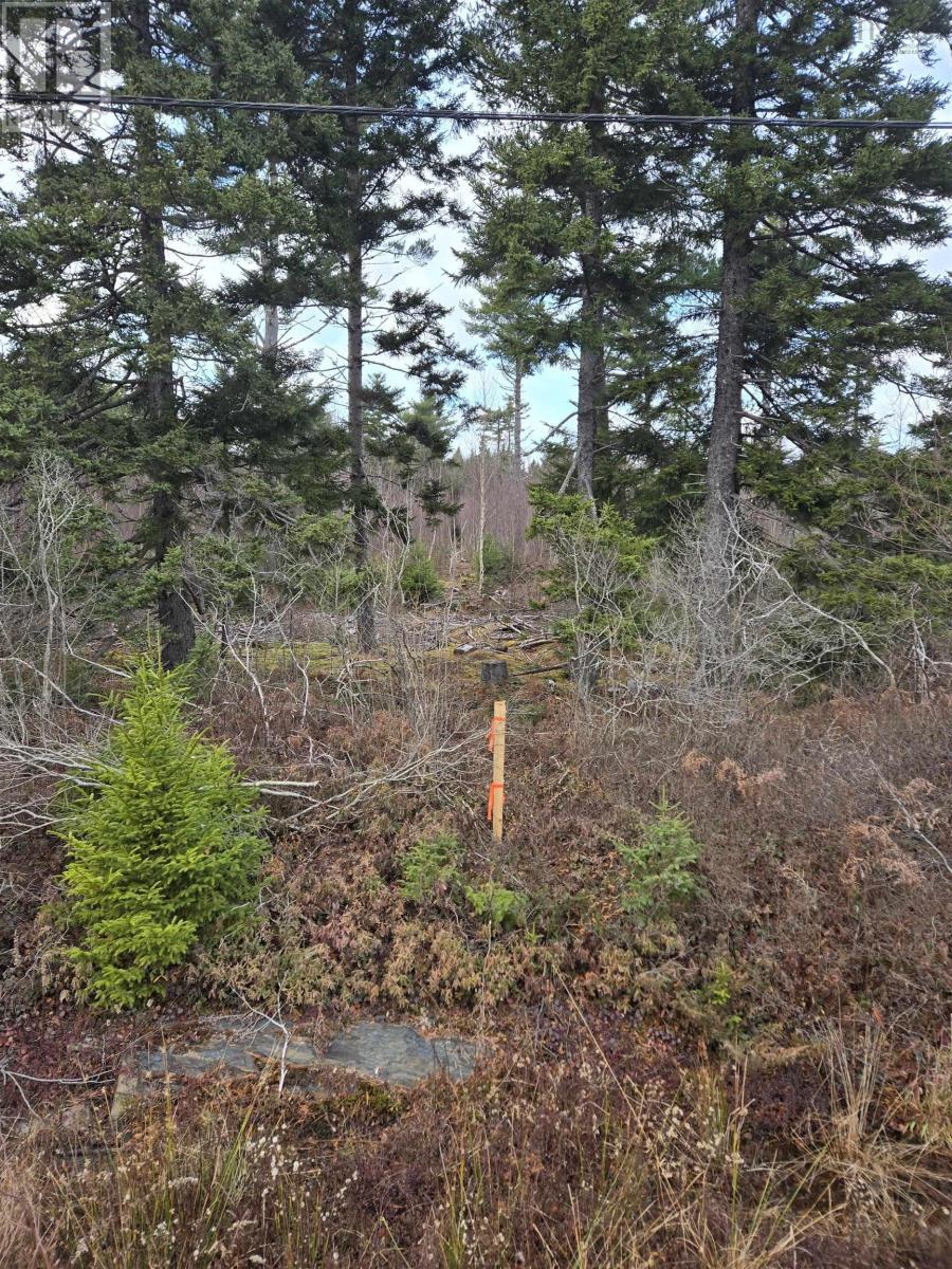 Lot P-2 Mount Pleasant Road Property Photo 2