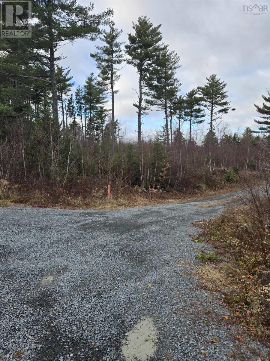 Lot P-1 Baker Road Property Photo 1