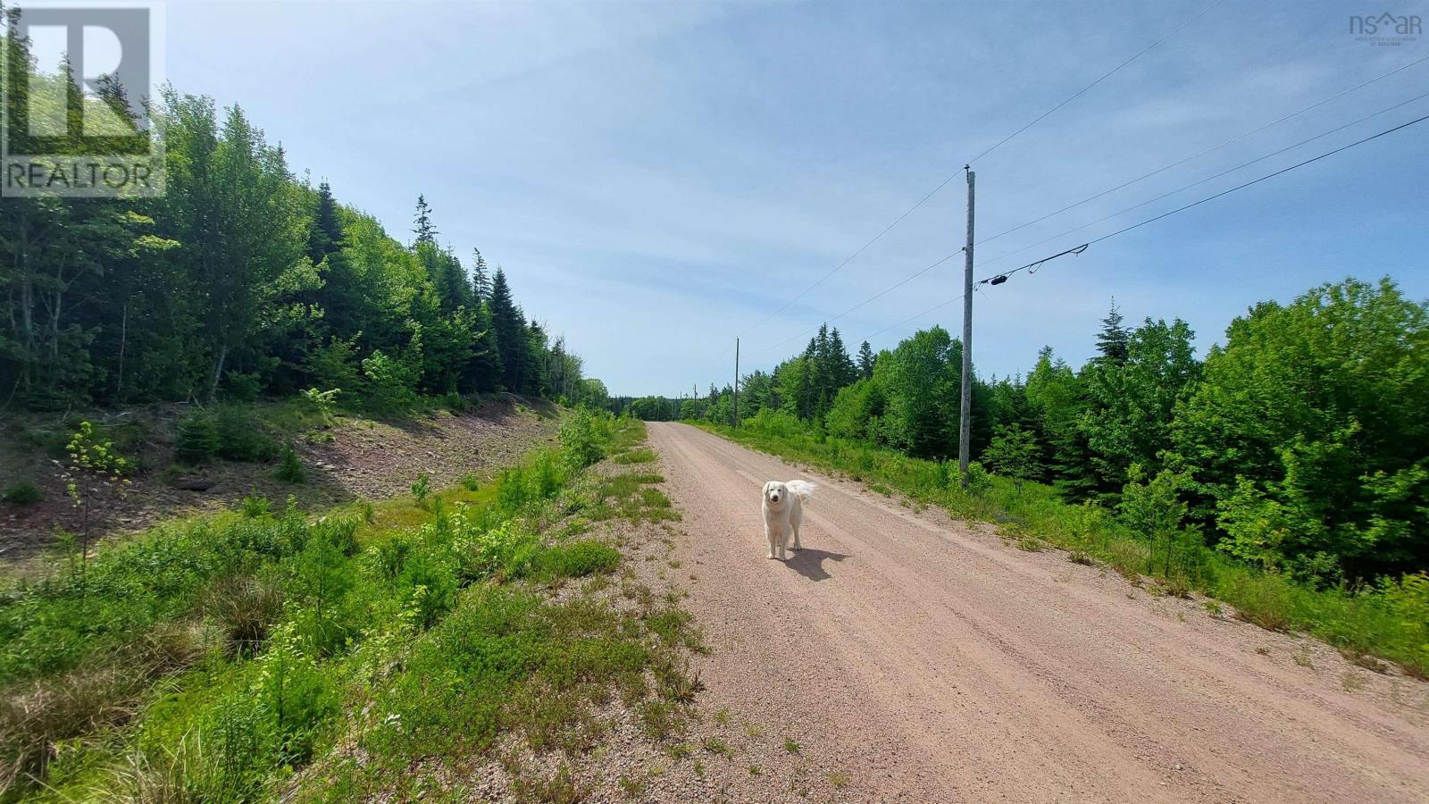 Lot 22 Highway 4 Property Photo 4