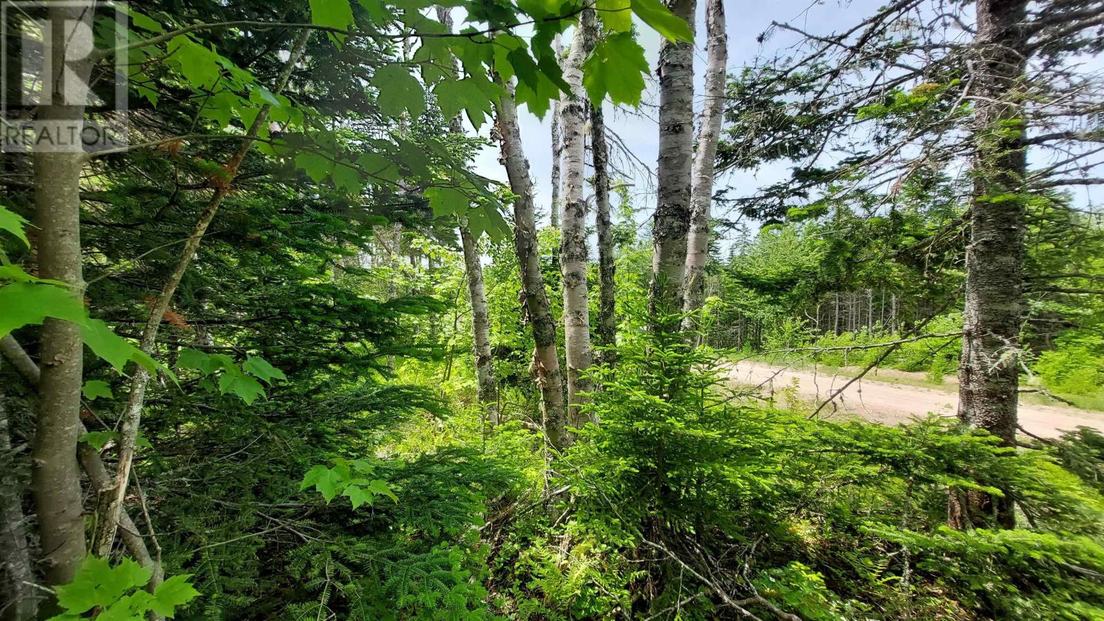 Lot 22 Highway 4 Property Photo 5