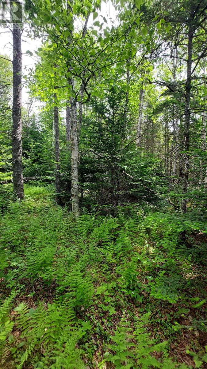 Lot 22 Highway 4 Property Photo 10