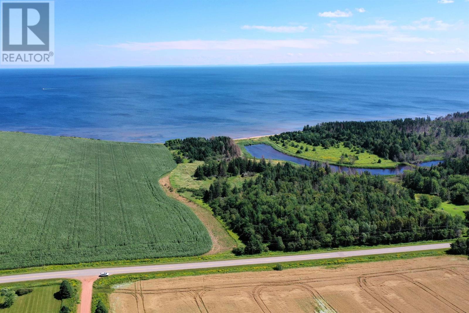 Acreage Rte 17 Property Photo 5