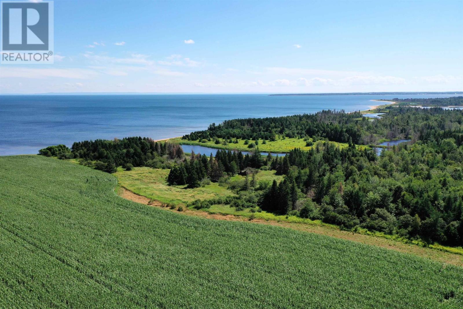Acreage Rte 17 Property Photo 8