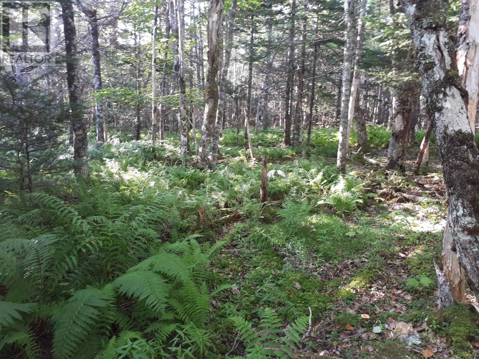 Lot 1a-79 Maple Dr Property Photo 8