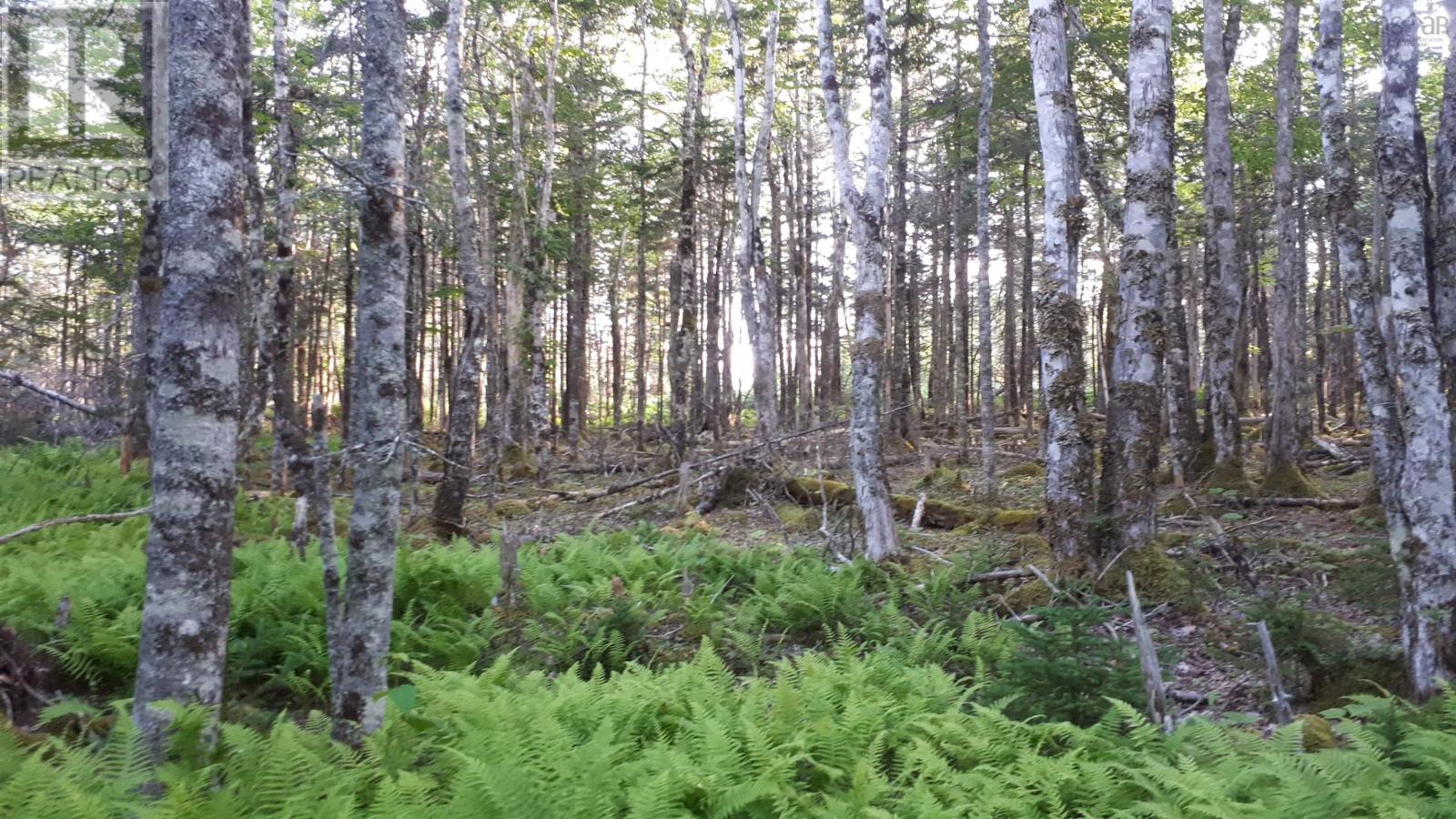 Lot 1a-79 Maple Dr Property Photo 17