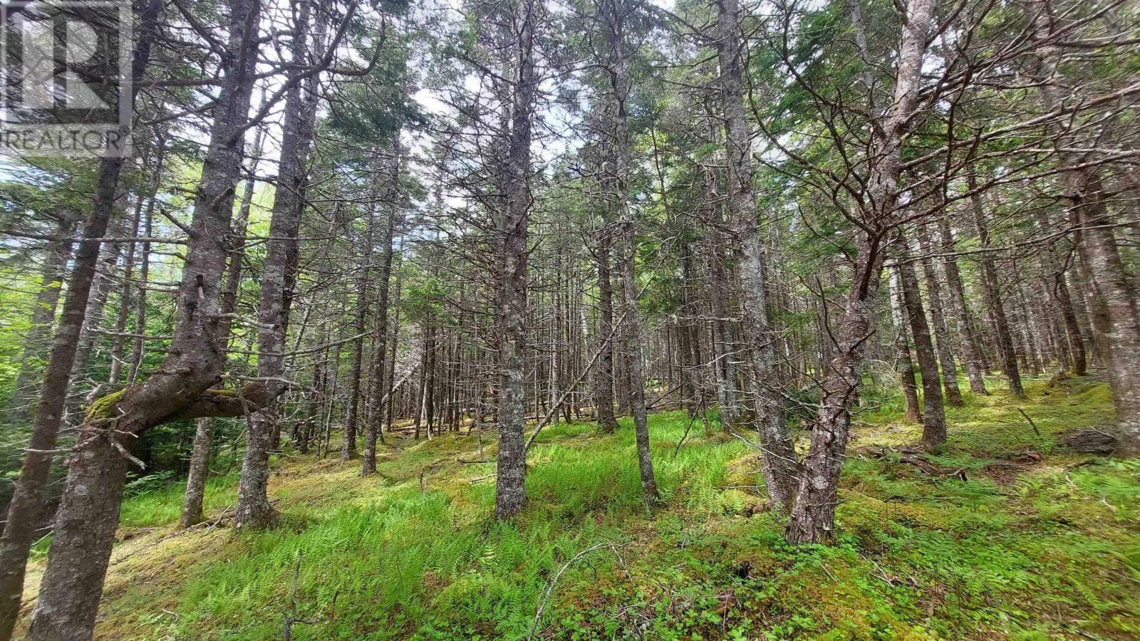 Lot 1a-79 Maple Dr Property Photo 18