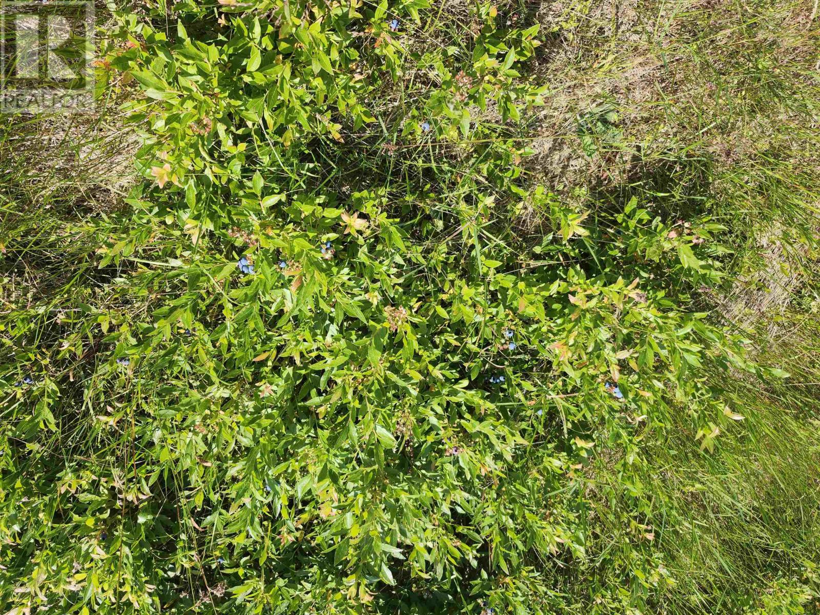 Acreage Selkirk Road Property Photo 5
