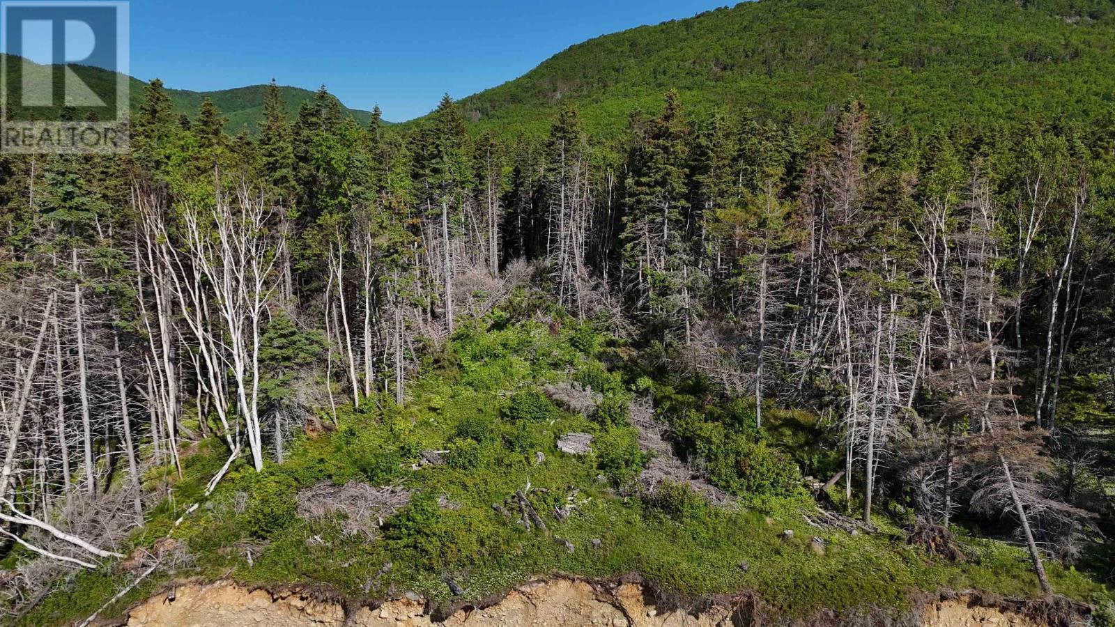 Cabot Trail Property Photo 11
