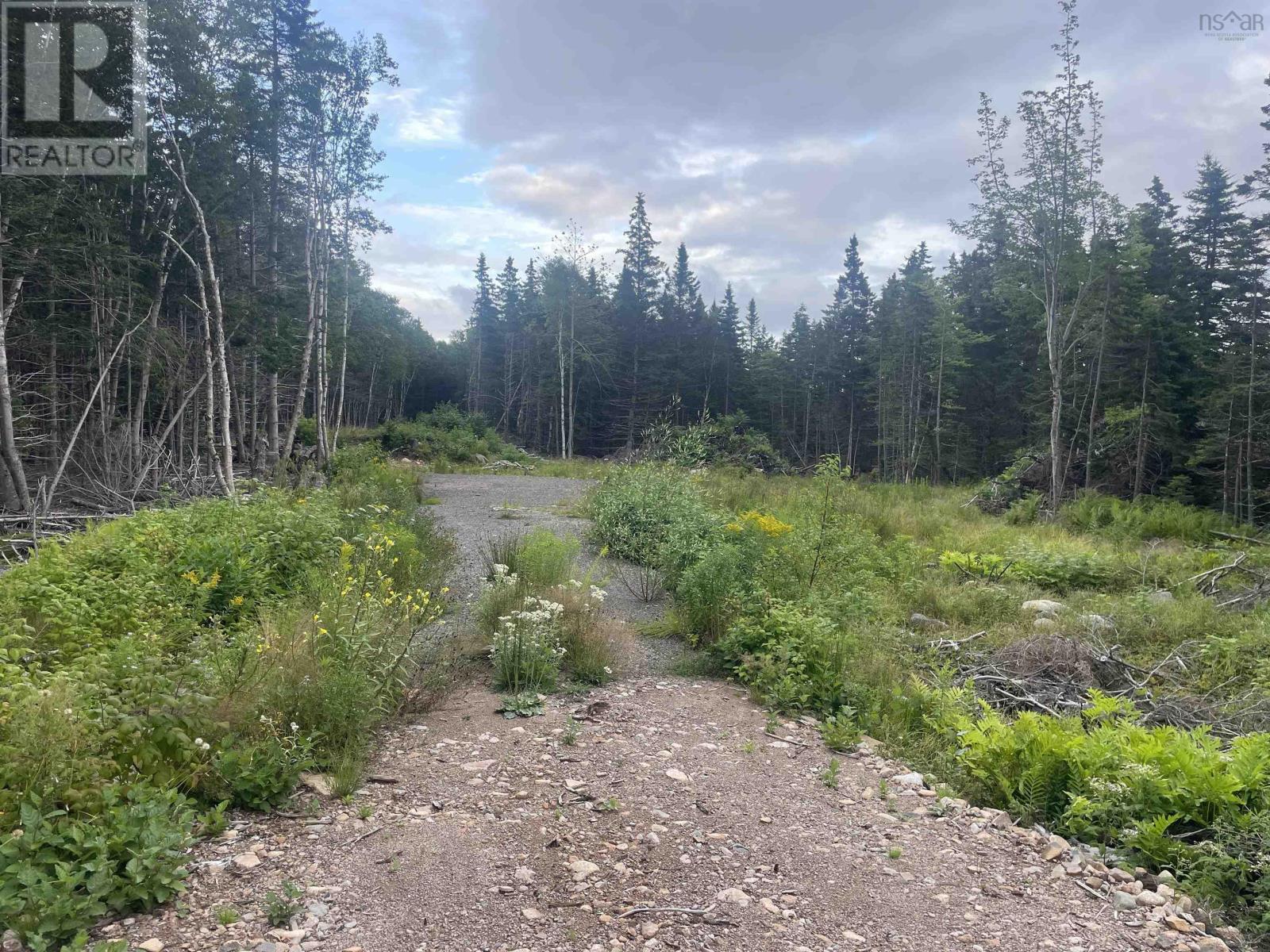 Cabot Trail Property Photo 15