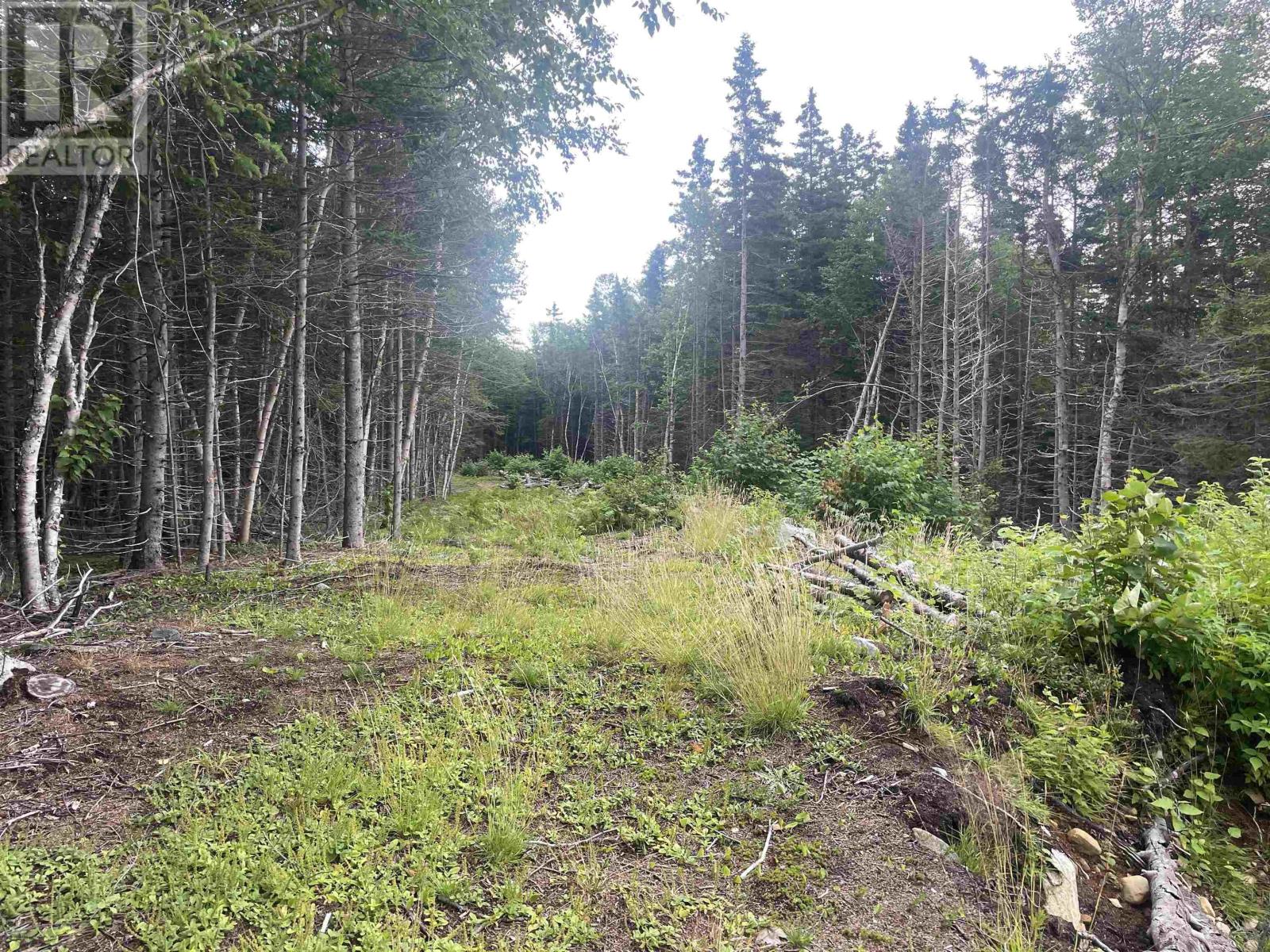 Cabot Trail Property Photo 16