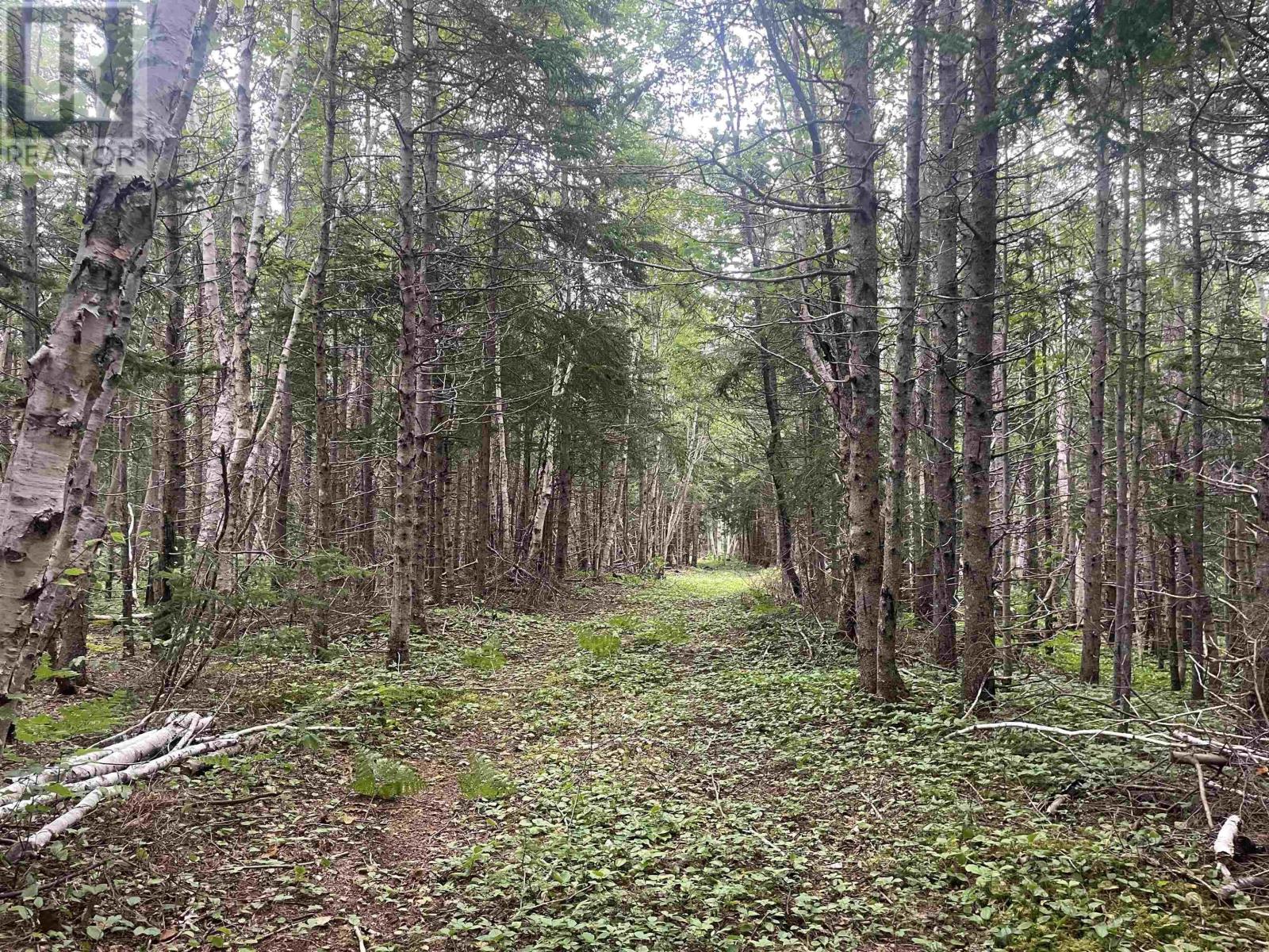 Cabot Trail Property Photo 17
