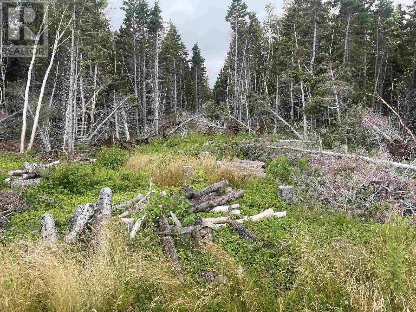 Cabot Trail Property Photo 21