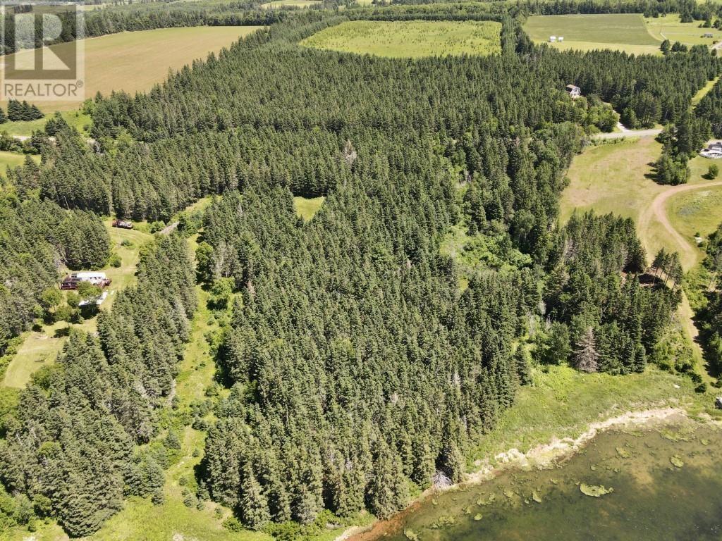 Trout River Road Property Photo 4