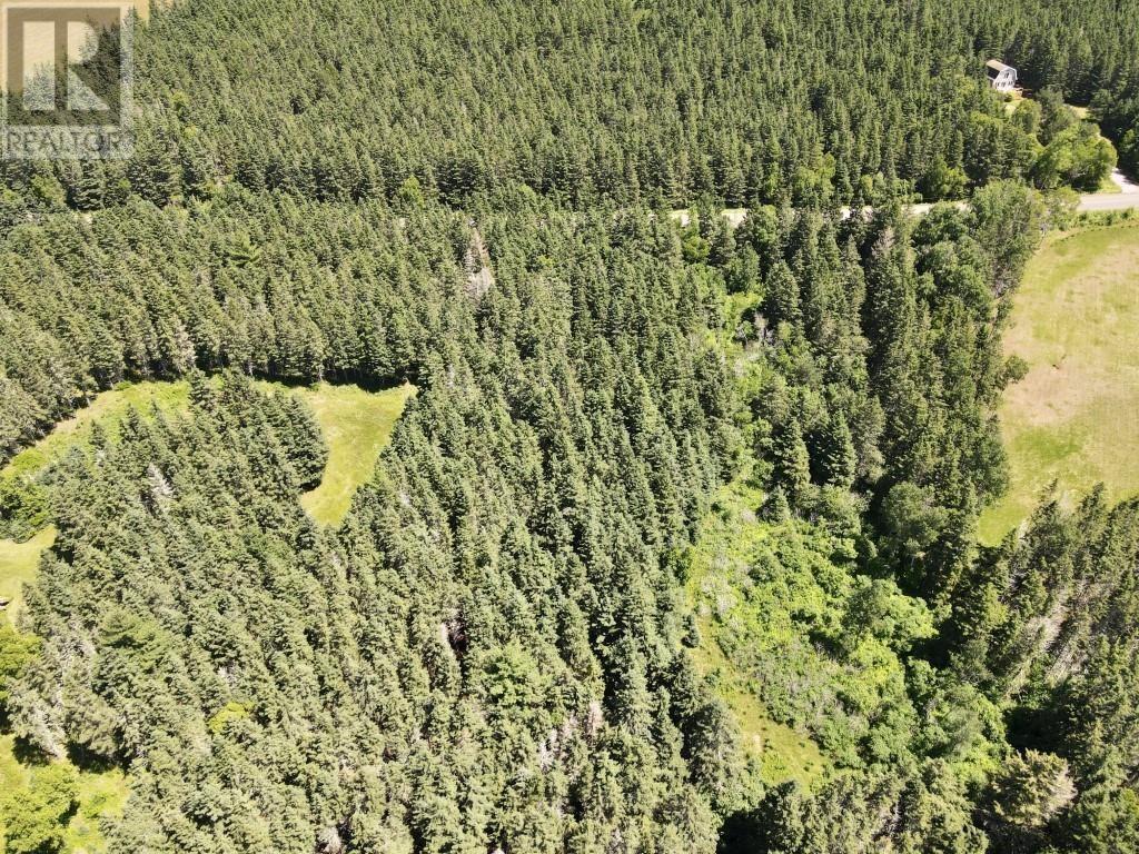 Trout River Road Property Photo 5