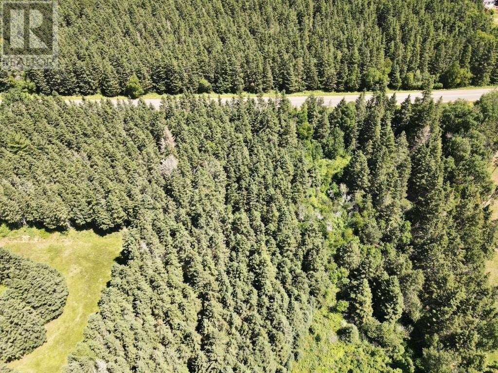 Trout River Road Property Photo 6