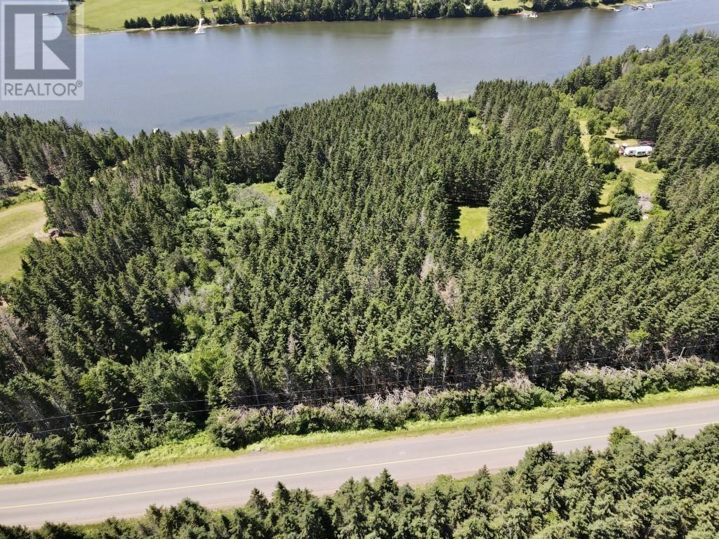 Trout River Road Property Photo 11