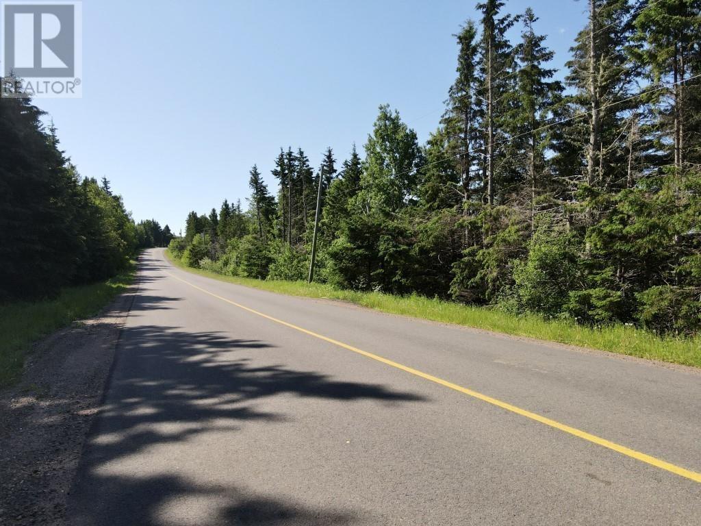Trout River Road Property Photo 17