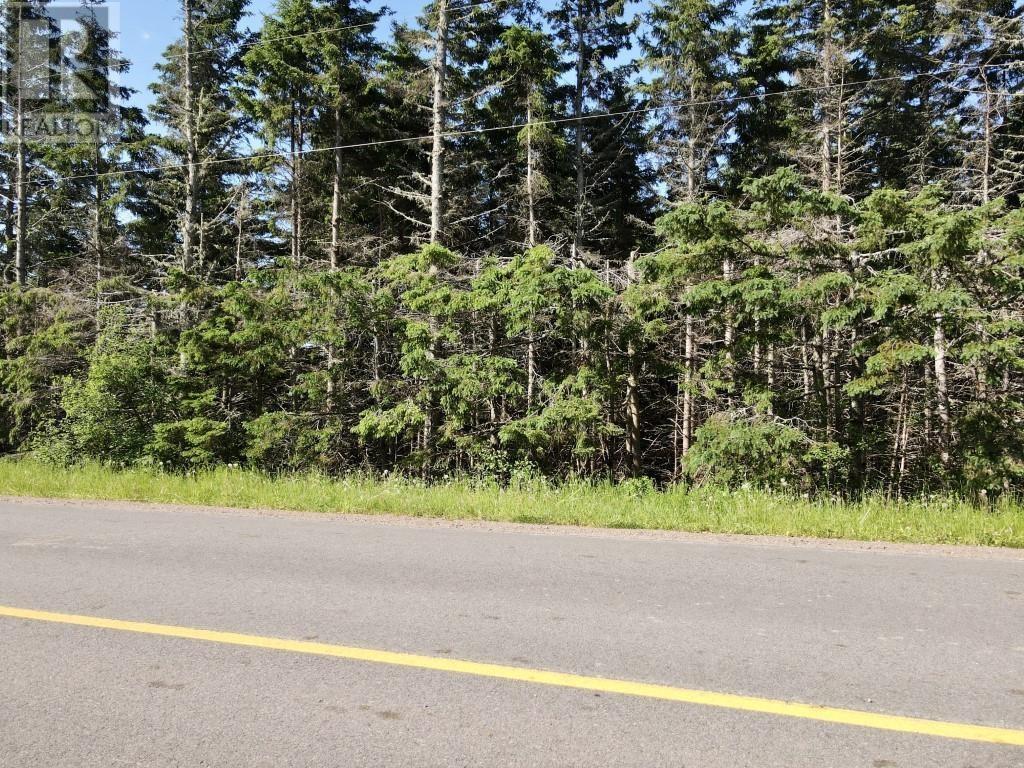 Trout River Road Property Photo 18