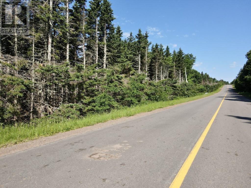 Trout River Road Property Photo 19