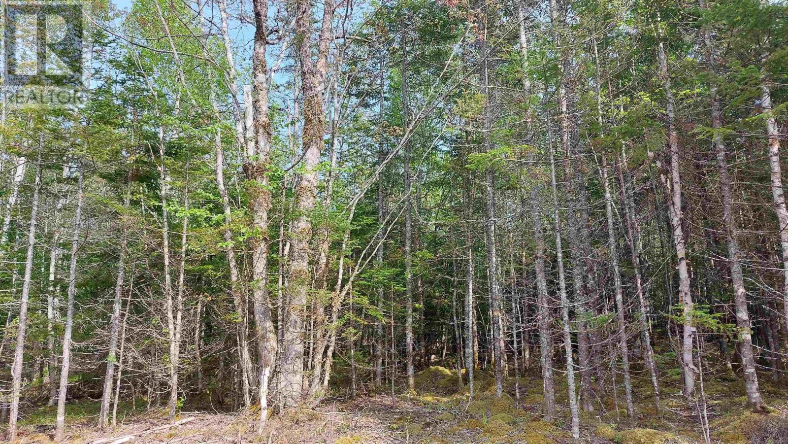 Lot 18 Highway 4 Property Photo 3