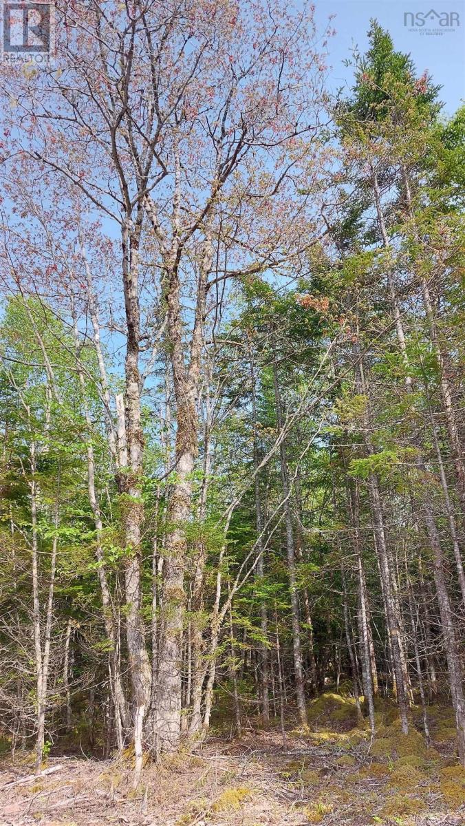 Lot 18 Highway 4 Property Photo 12