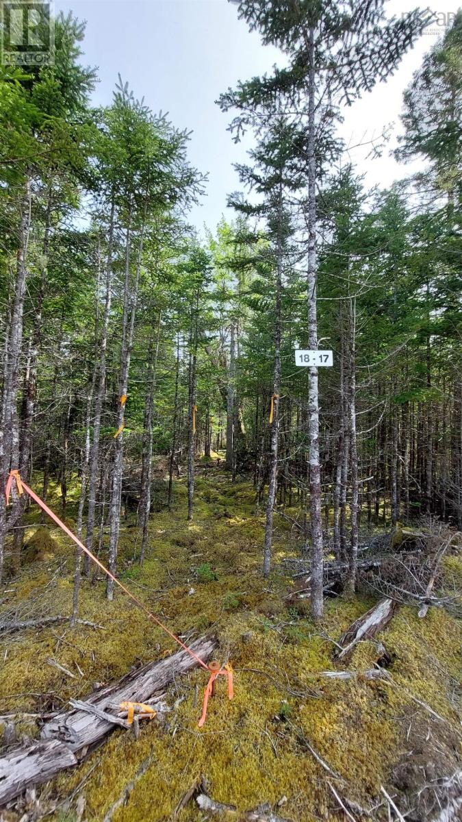 Lot 18 Highway 4 Property Photo 14