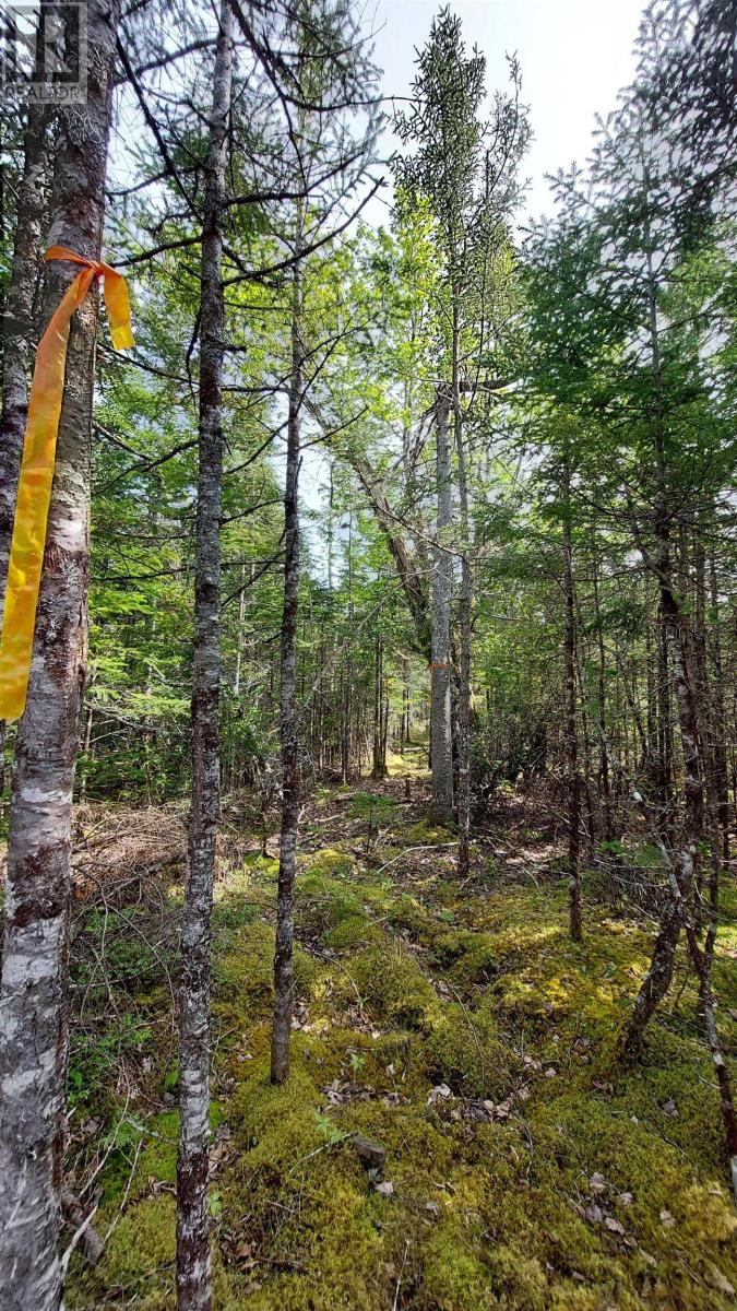 Lot 18 Highway 4 Property Photo 16