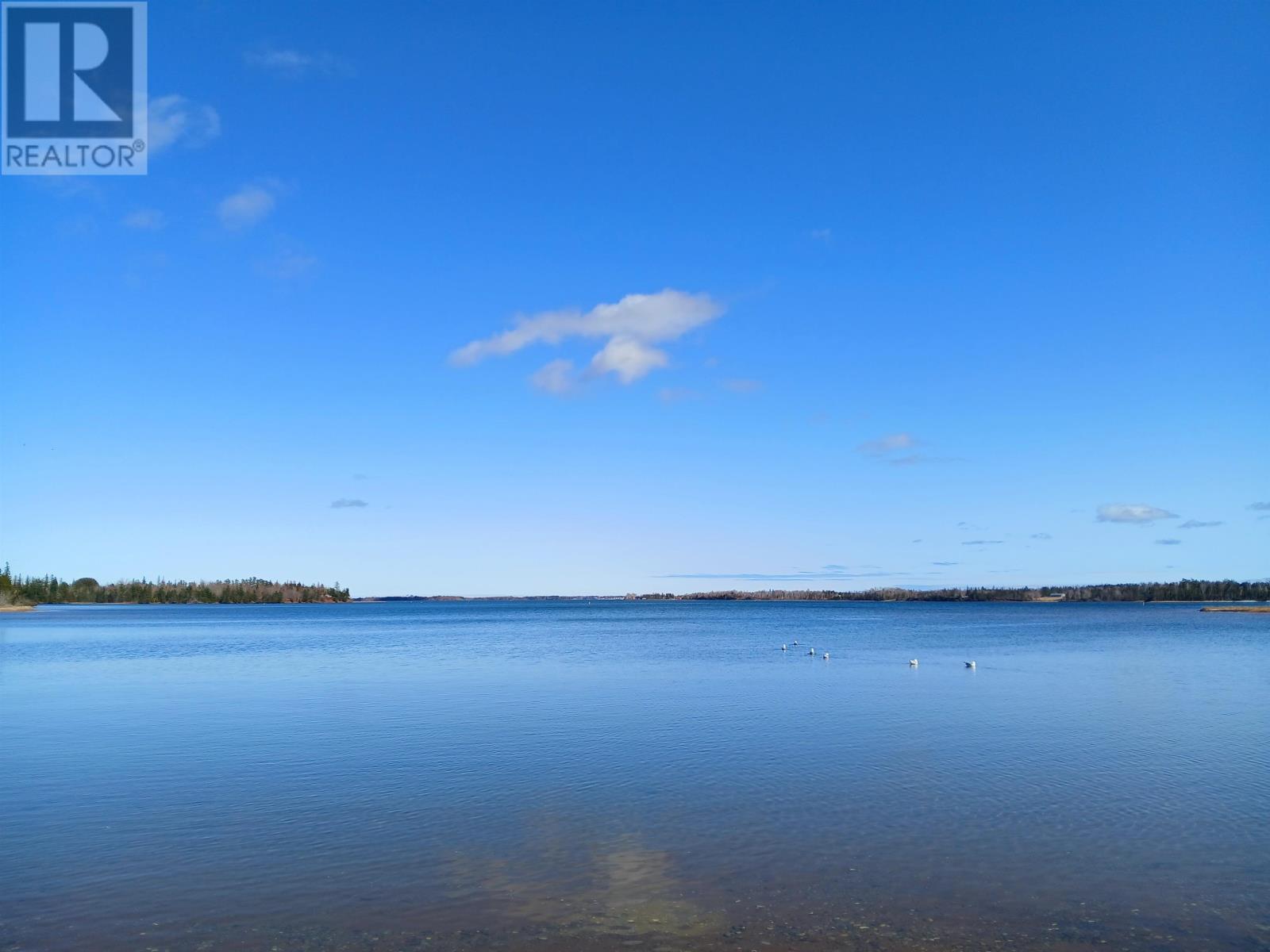 Acreage 22.0 Acres Point Pleasant Road Property Photo 5