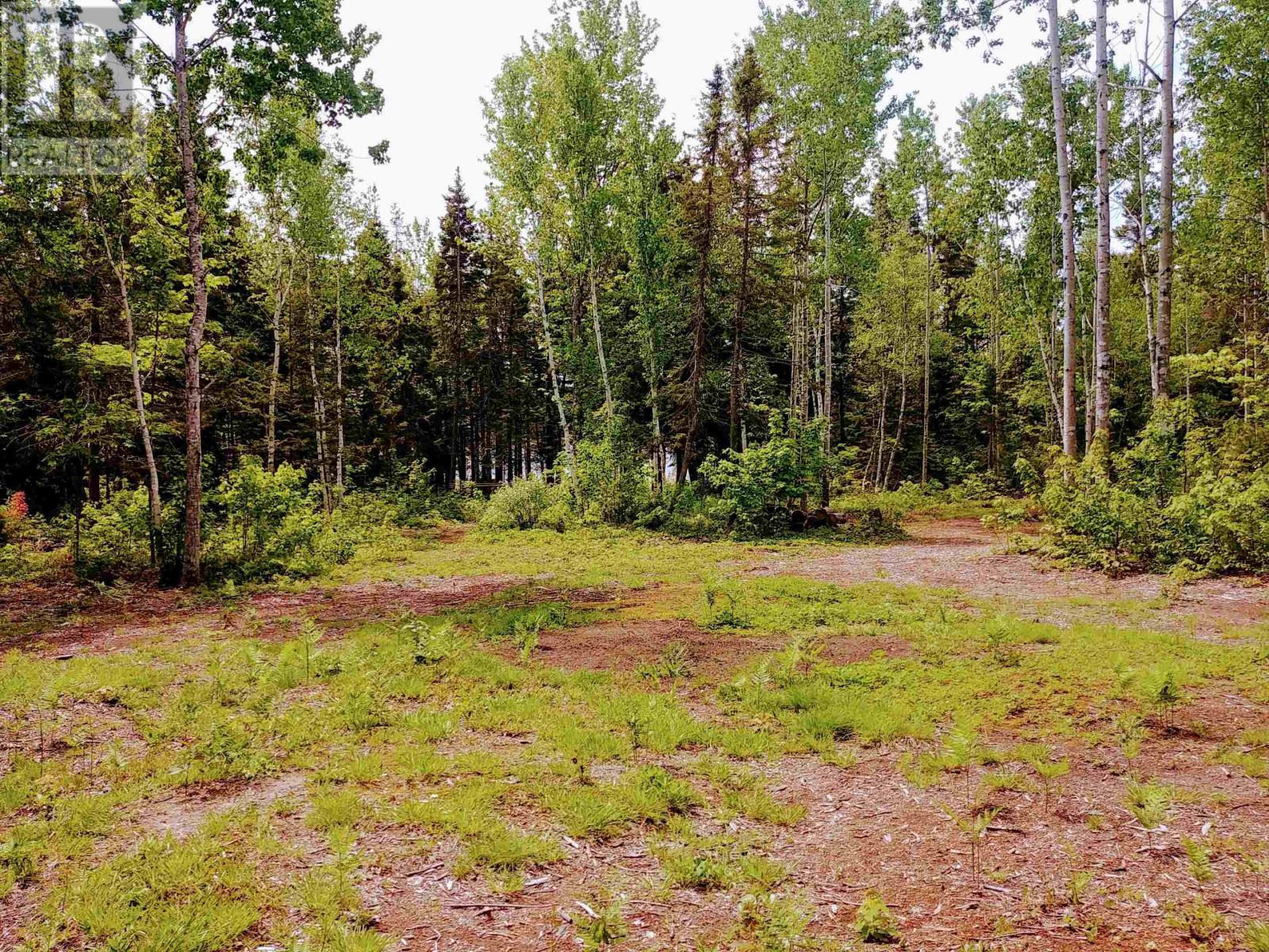 Acreage 22.0 Acres Point Pleasant Road Property Photo 11