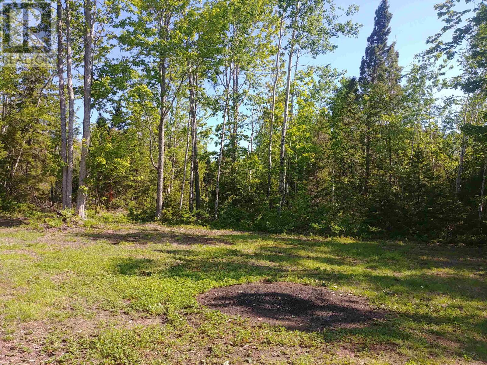 Acreage 22.0 Acres Point Pleasant Road Property Photo 15