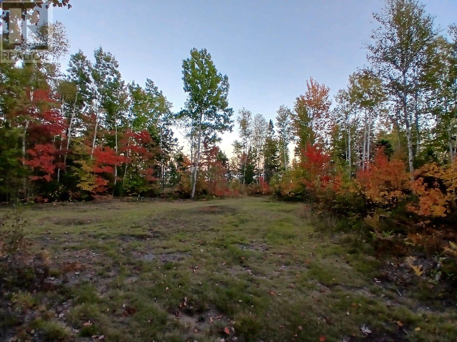 Acreage 22.0 Acres Point Pleasant Road Property Photo 16