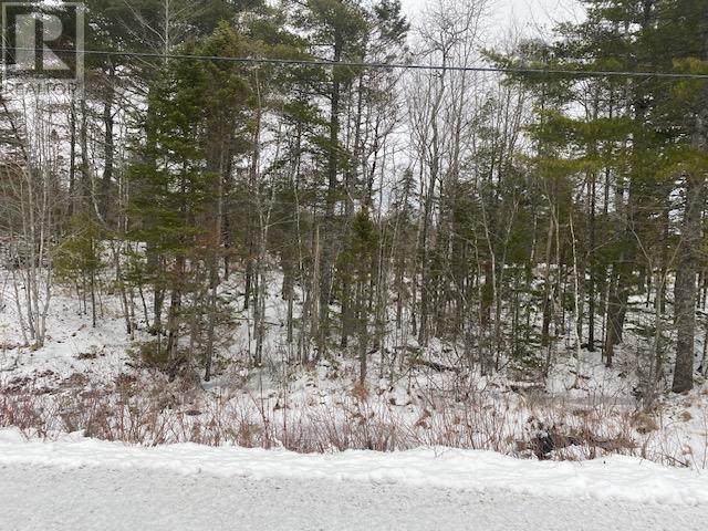 Lot 1 Newburne Road Property Photo 1