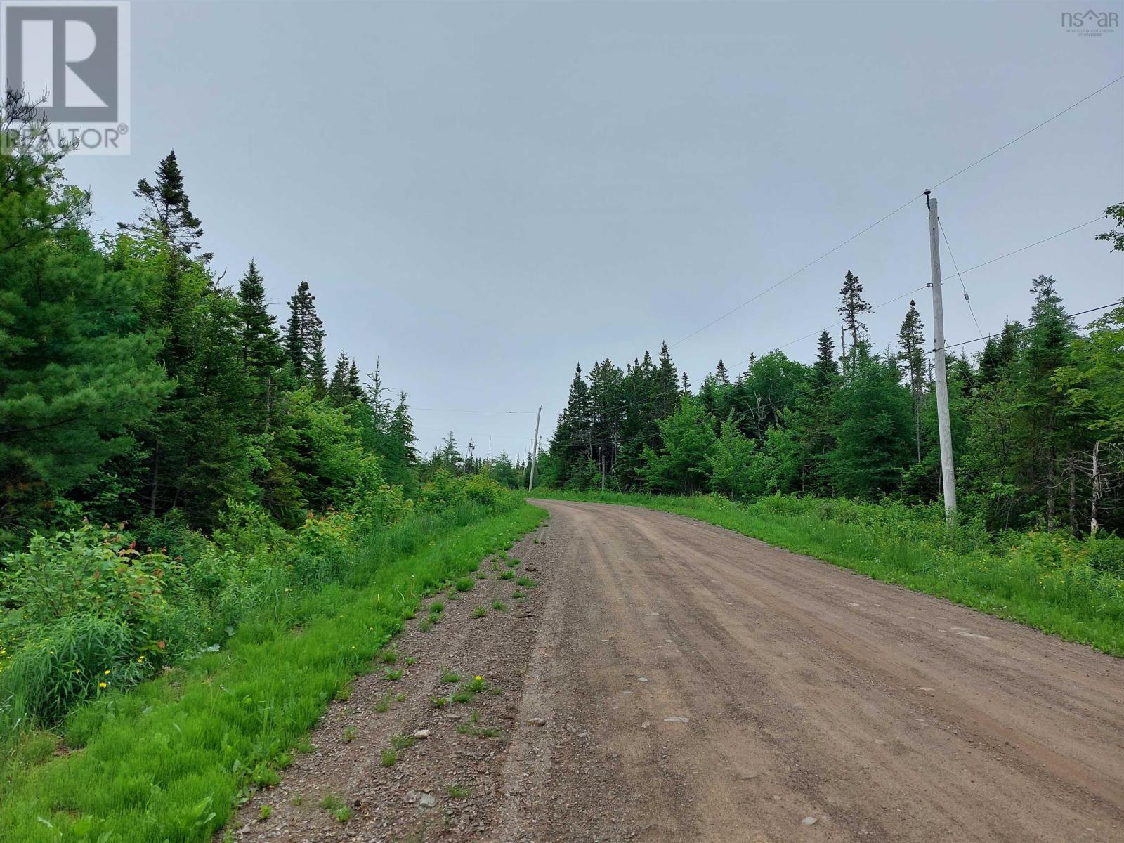 Lot 16 Walkerville Rd. Property Photo 4
