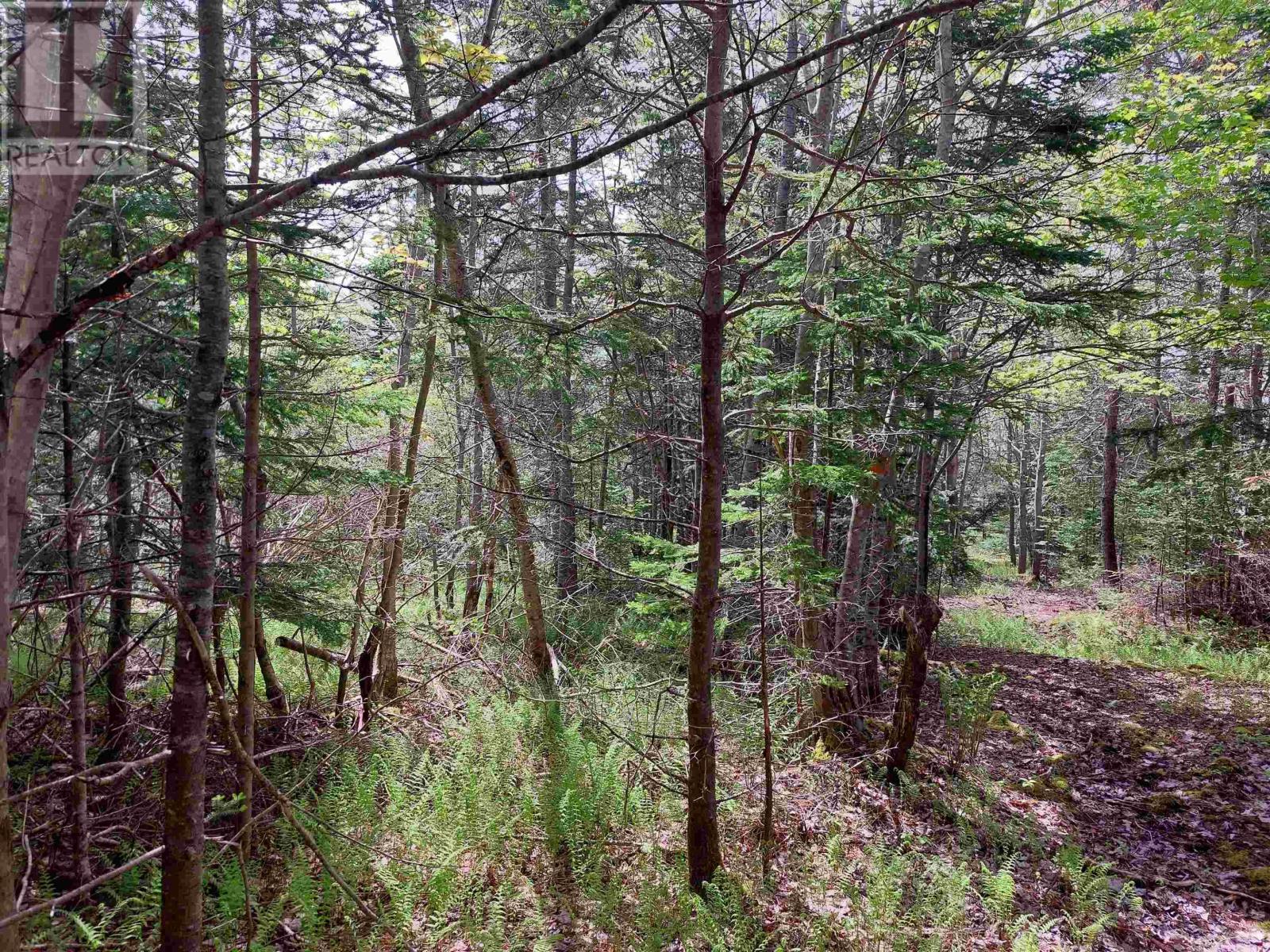 Lot 16 Walkerville Rd. Property Photo 9