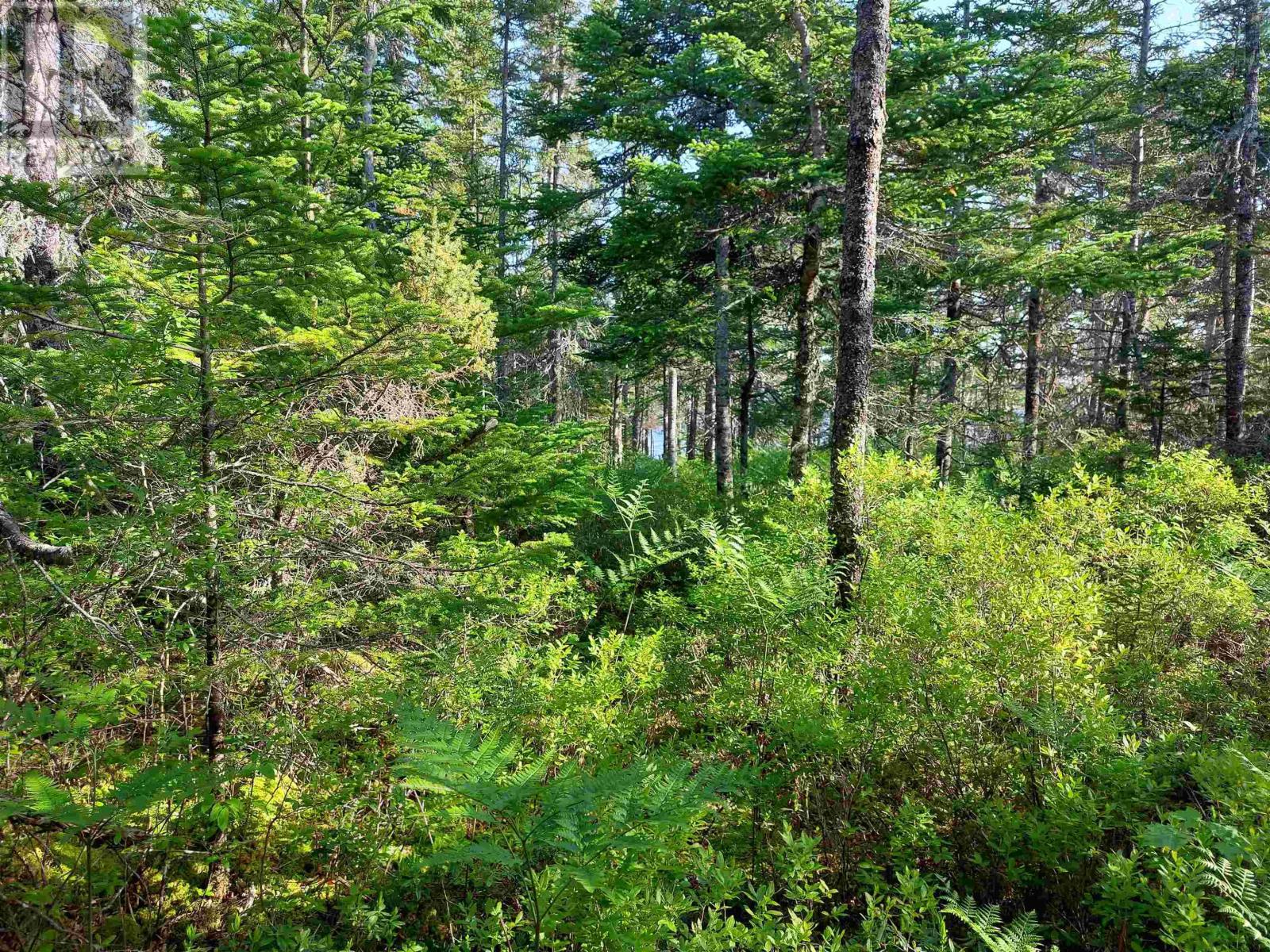 Lot 16 Walkerville Rd. Property Photo 10