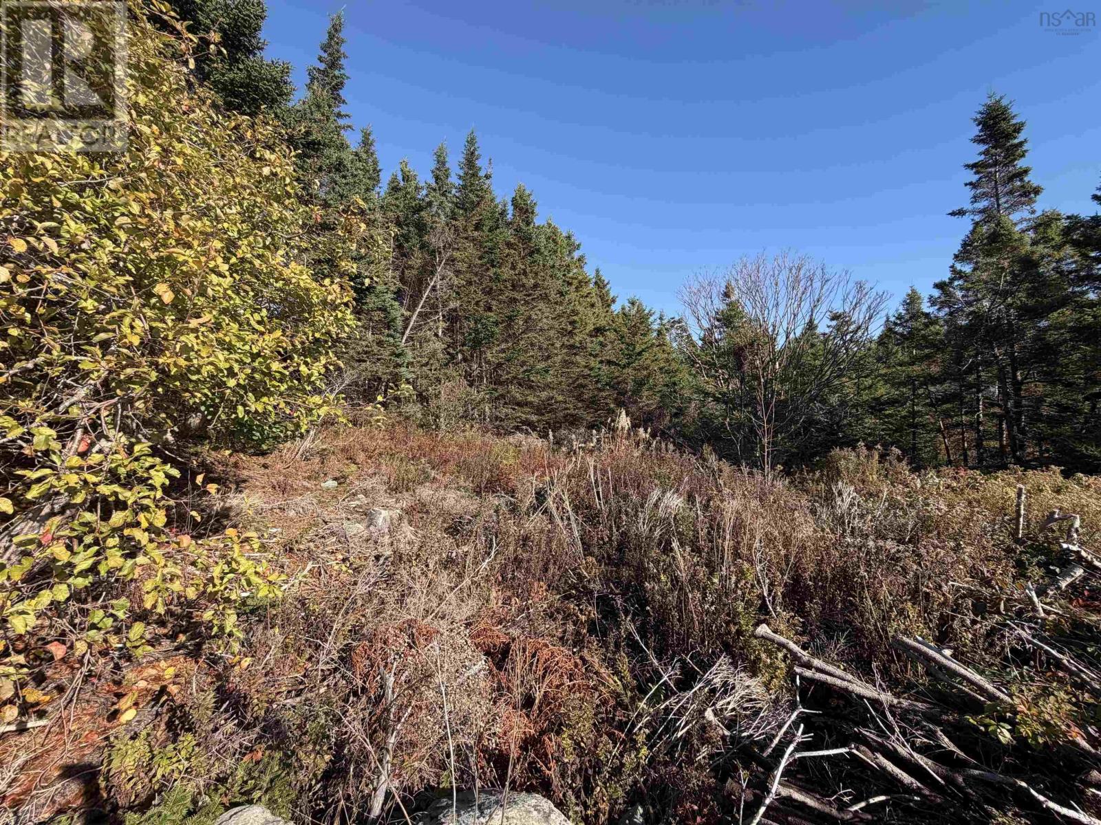 429 Highway 7 Property Photo 7