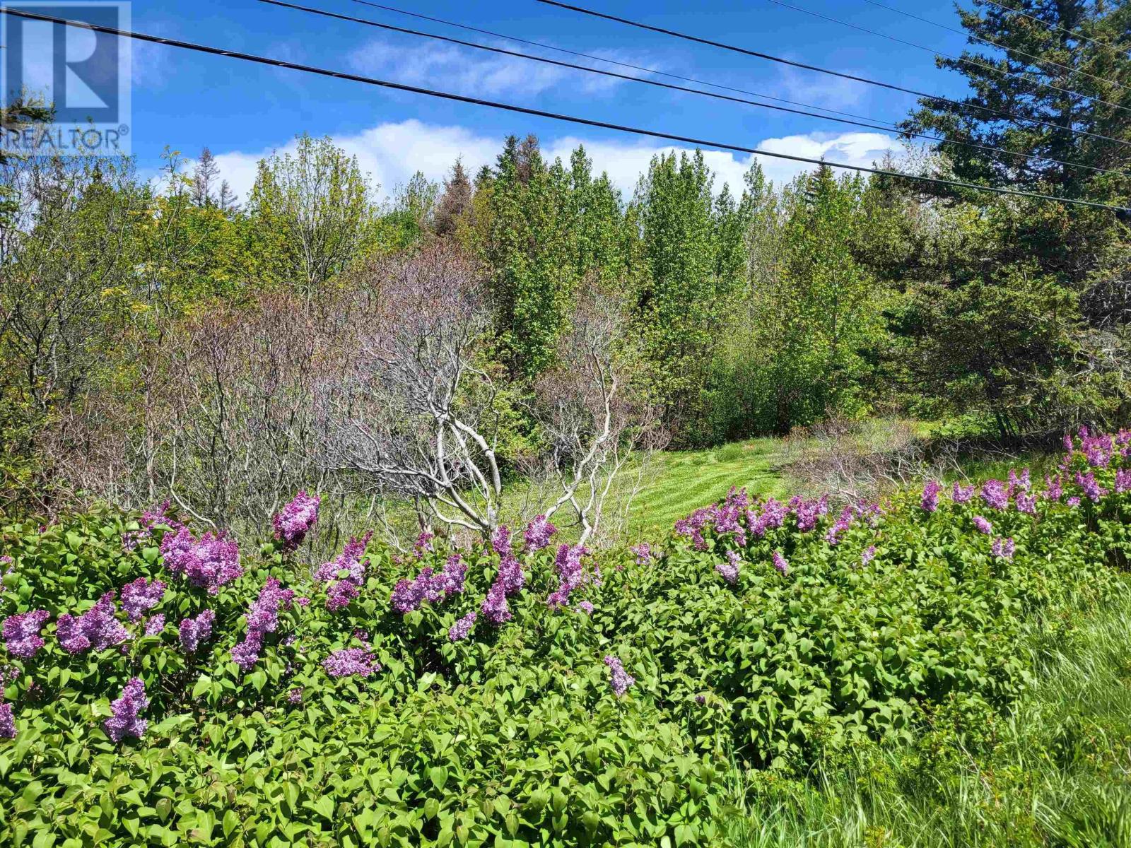 2999 Shore Road Property Photo 4