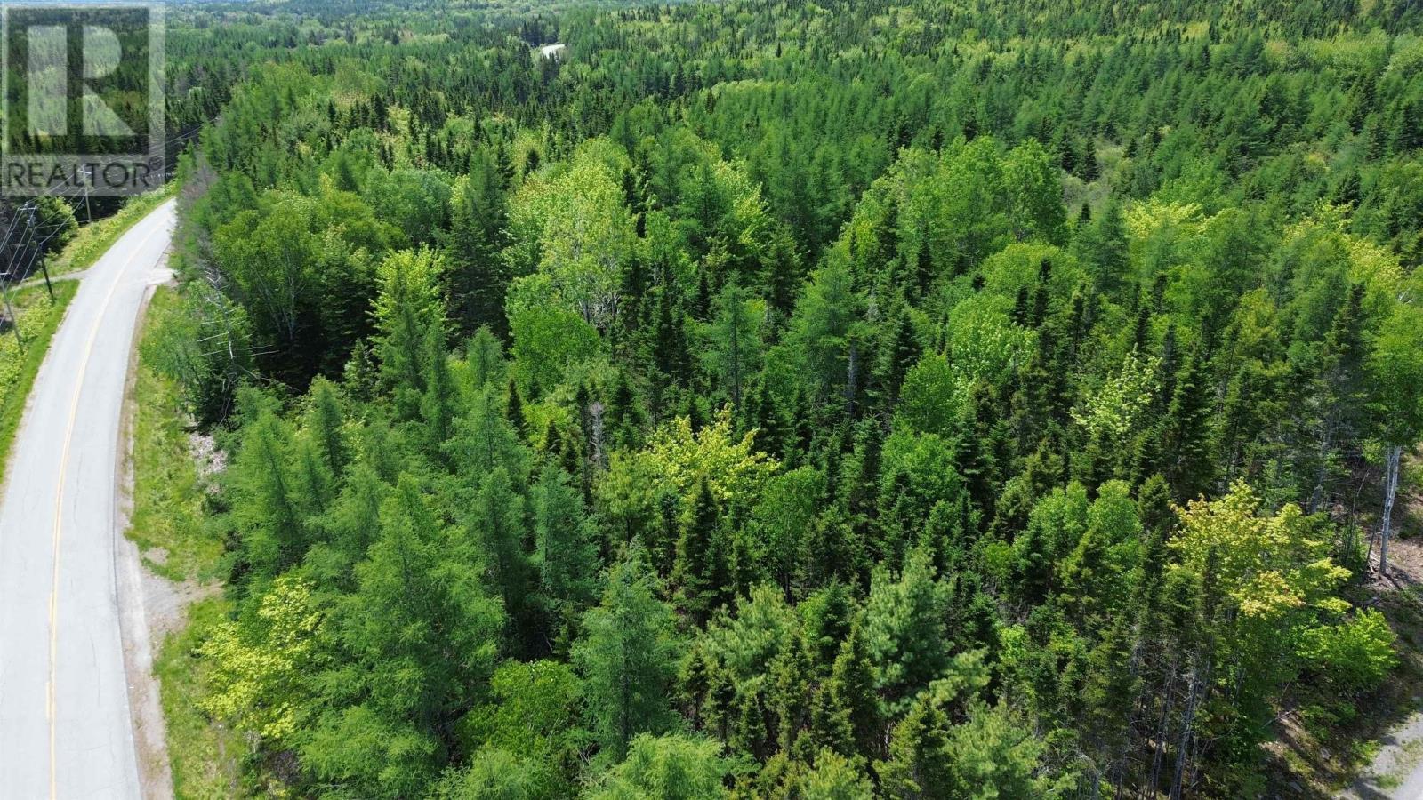 Lot 13 Lower River Road Property Photo 1