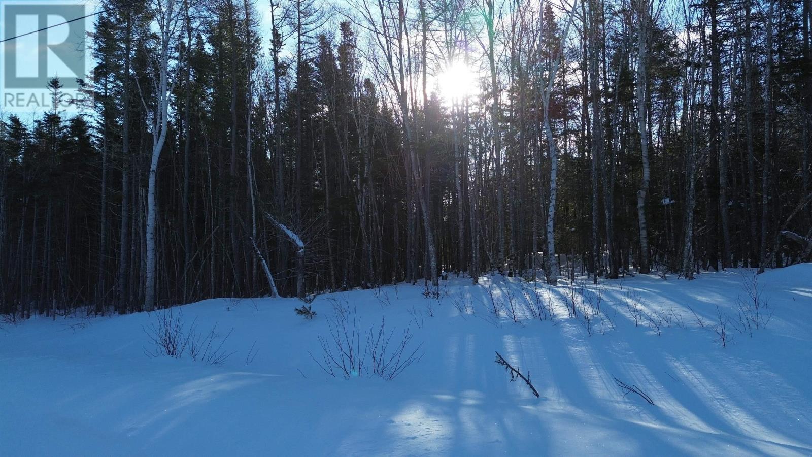 Lot 13 Lower River Road Property Photo 7