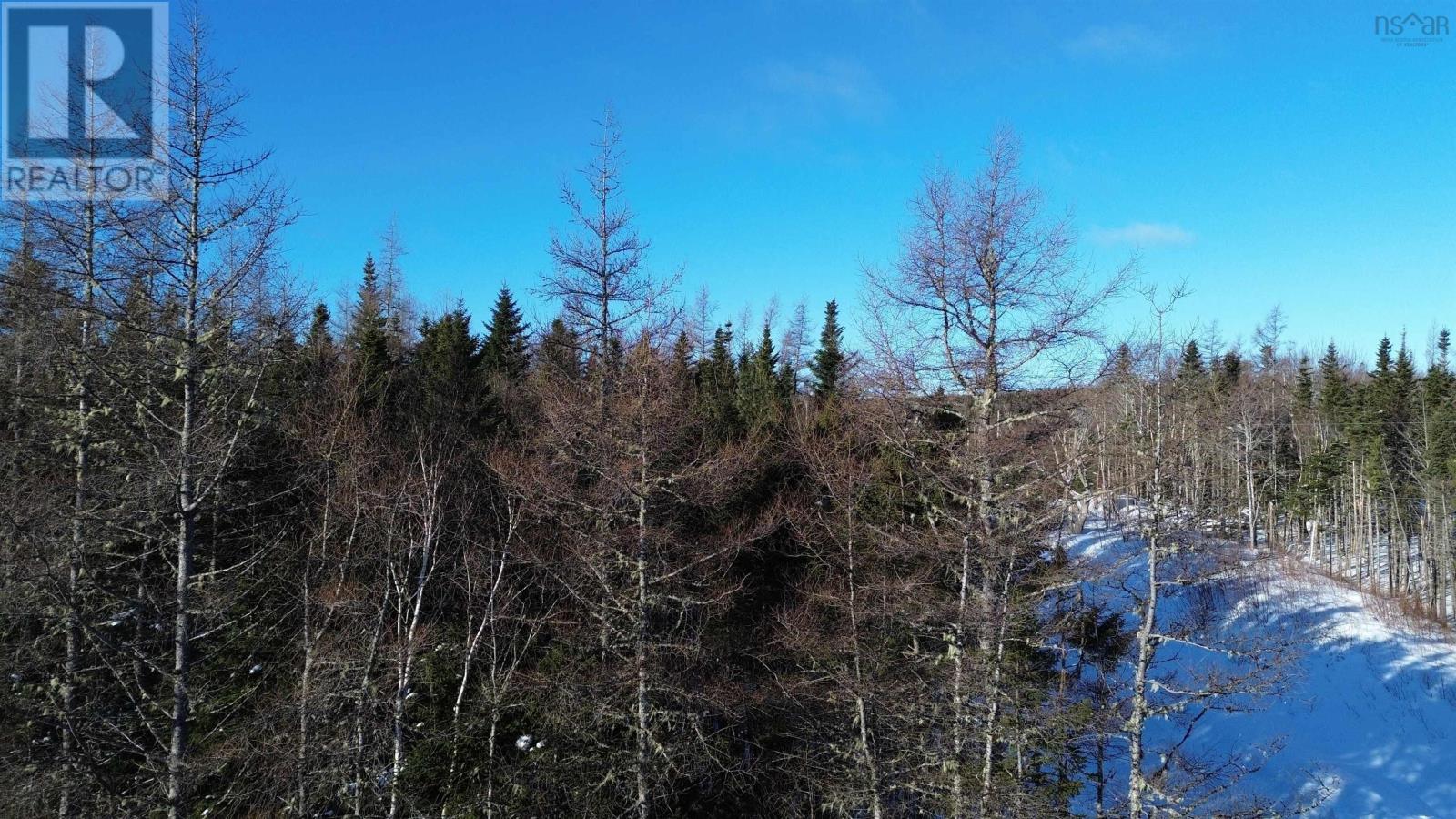 Lot 13 Lower River Road Property Photo 13